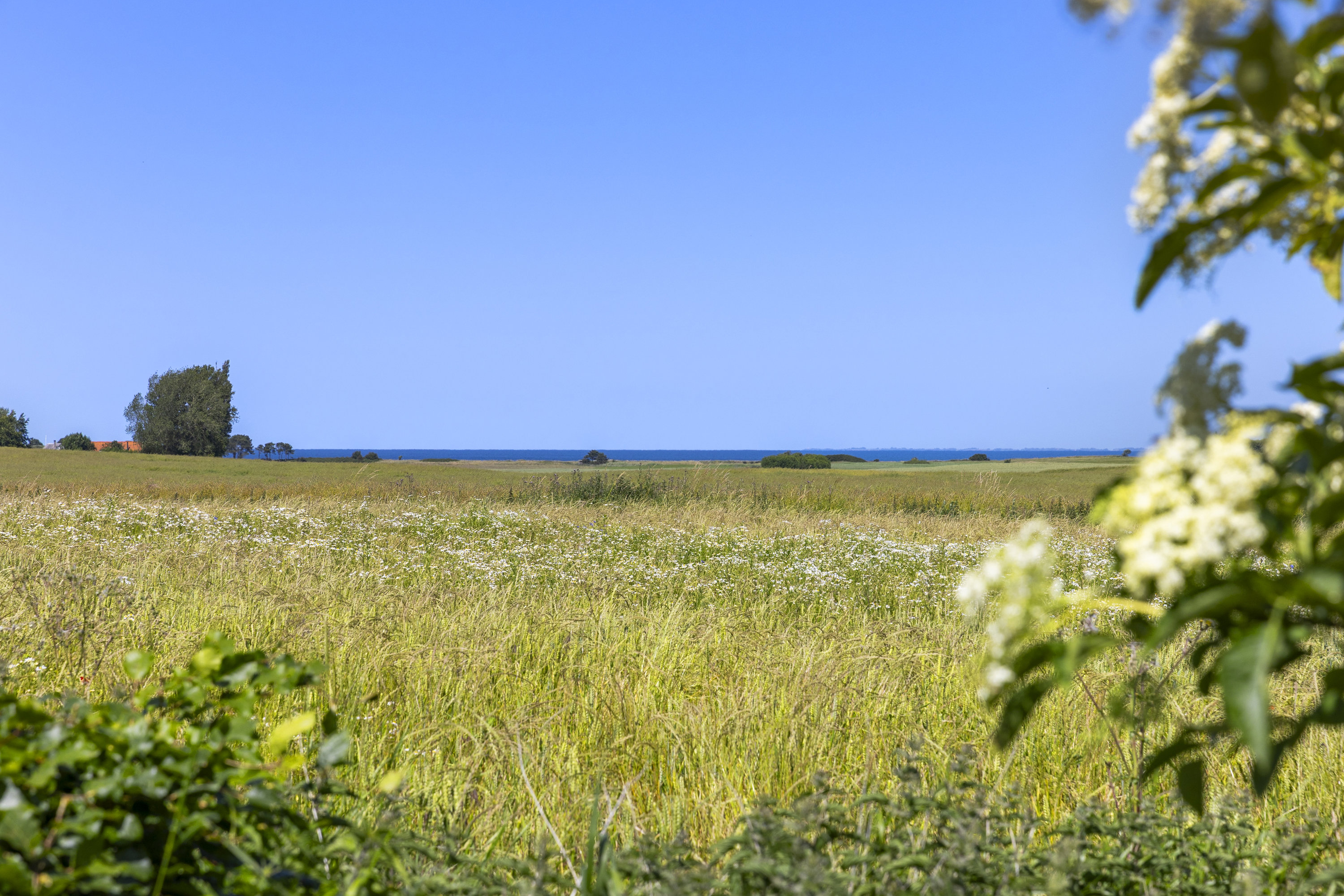 Miniaturebillede 1: udsigt. Billede af Kallerupvej 158, 4400 Kalundborg