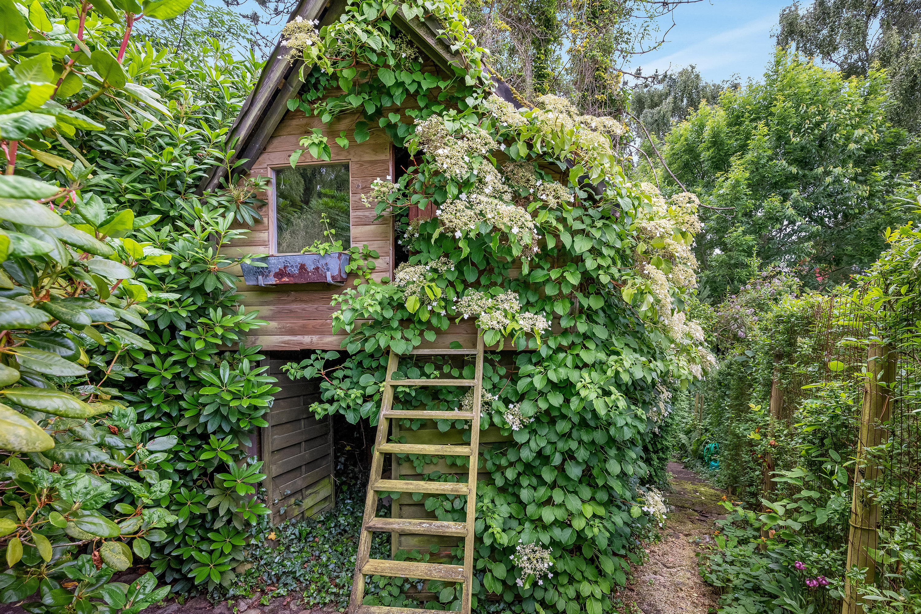 Fremhævet have billede i fuldskærmstilstand. Billede af Søndergade 40, 7600 Struer