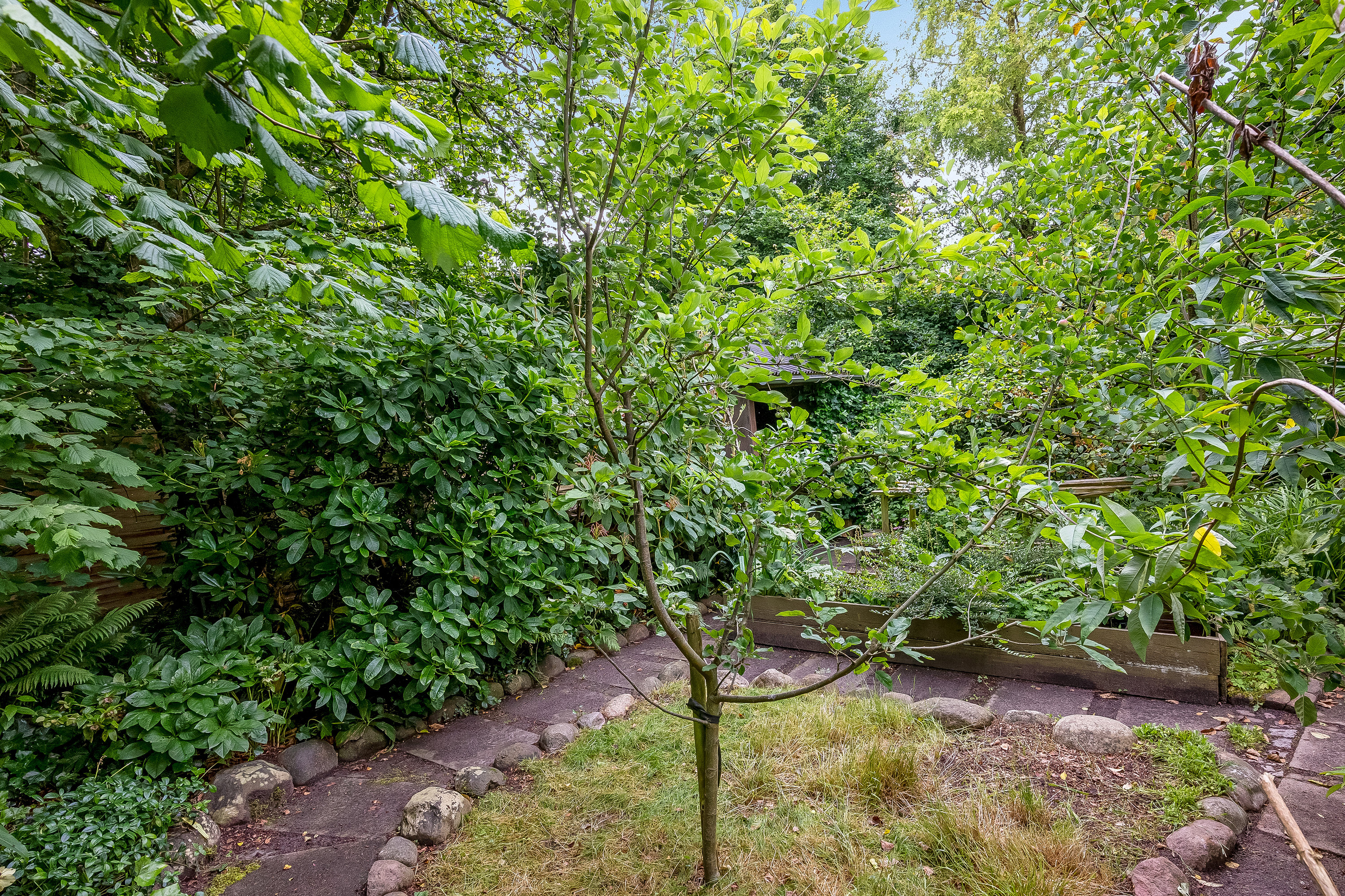 Fremhævet have billede i fuldskærmstilstand. Billede af Søndergade 40, 7600 Struer