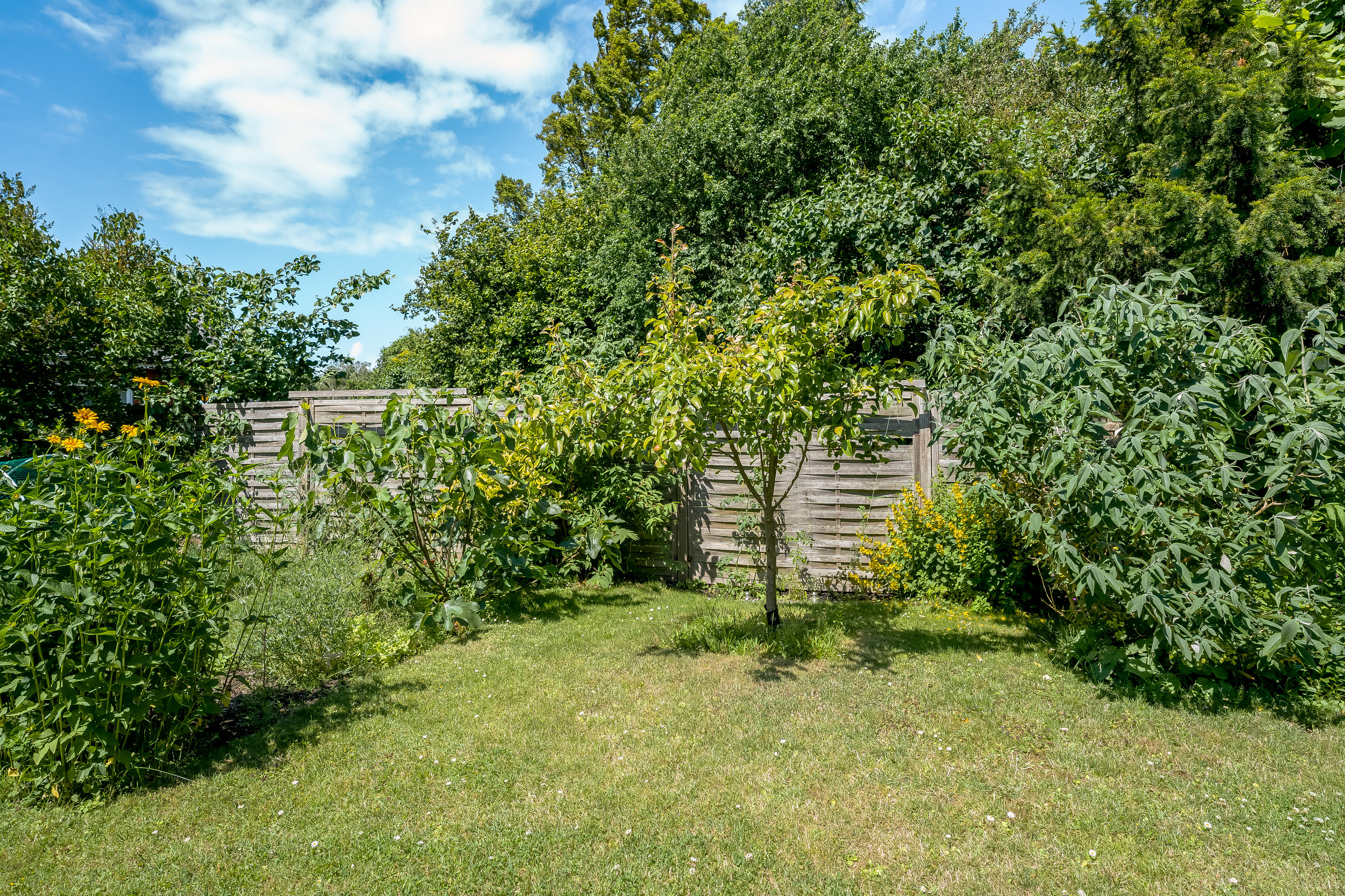 Fremhævet have billede i fuldskærmstilstand. Billede af Valmuevej 7, 4900 Nakskov