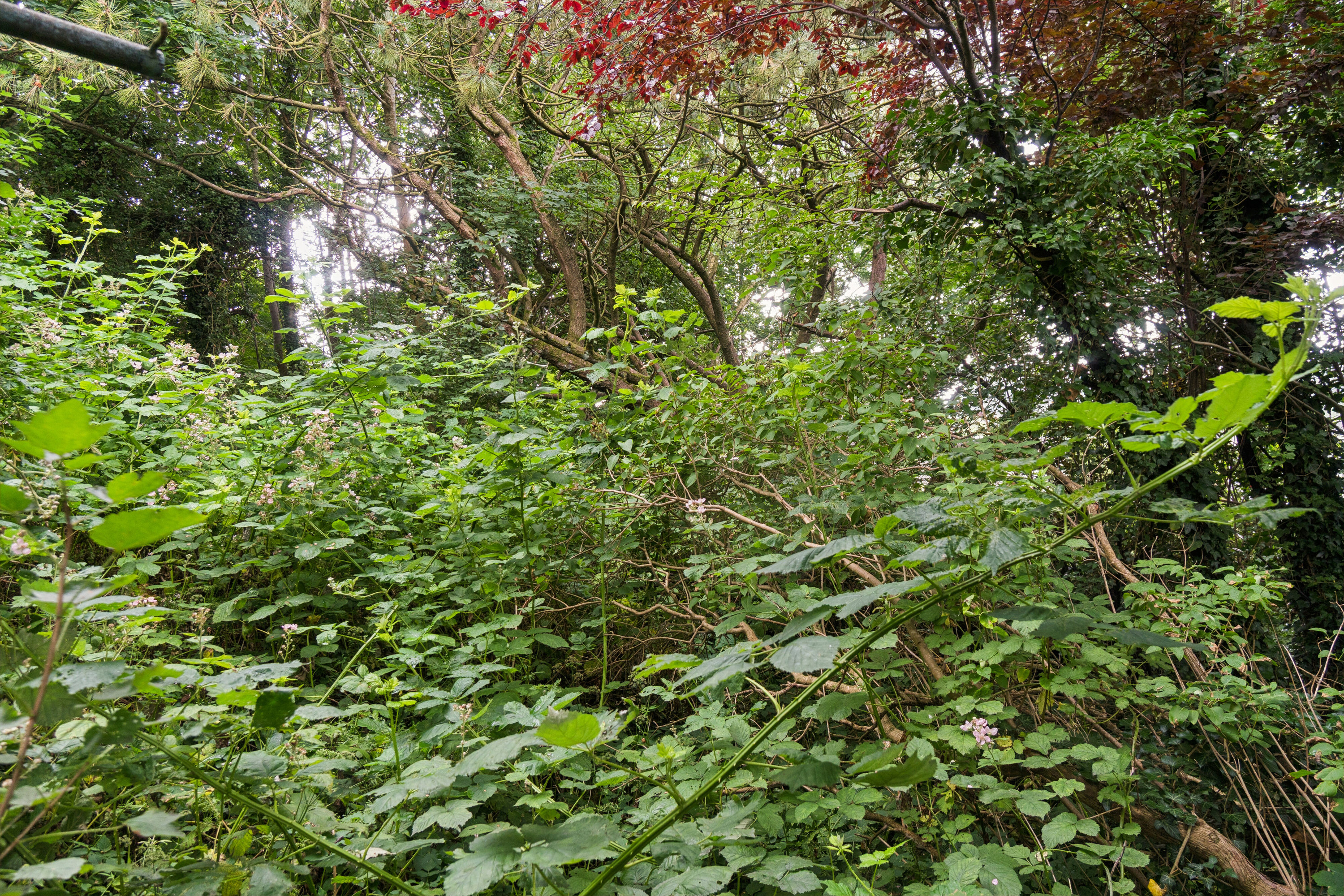 Fremhævet udendørs billede i fuldskærmstilstand. Billede af Vestergade 25, 6040 Egtved