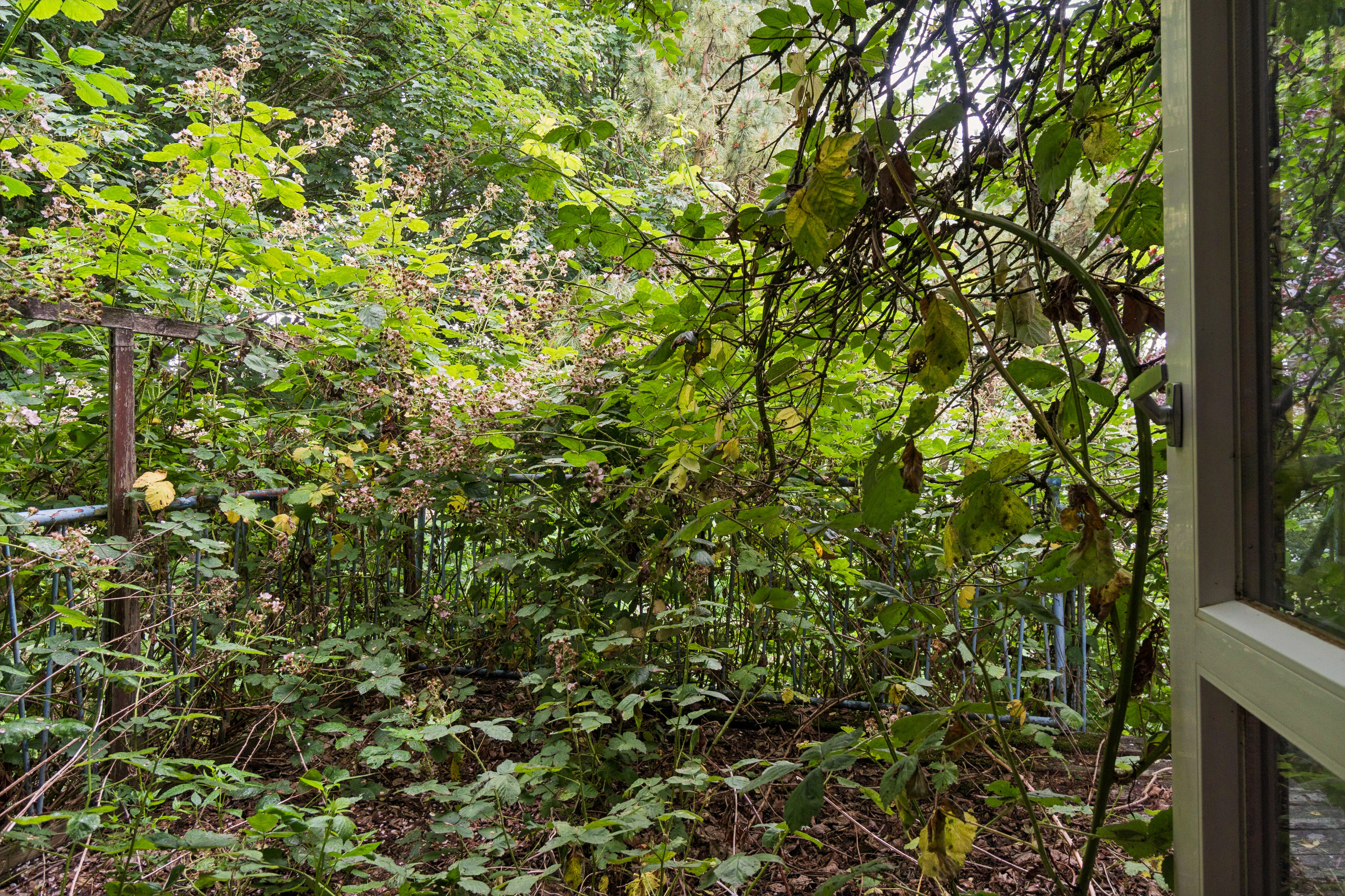 Miniaturebillede 2: udendørs. Billede af Vestergade 25, 6040 Egtved