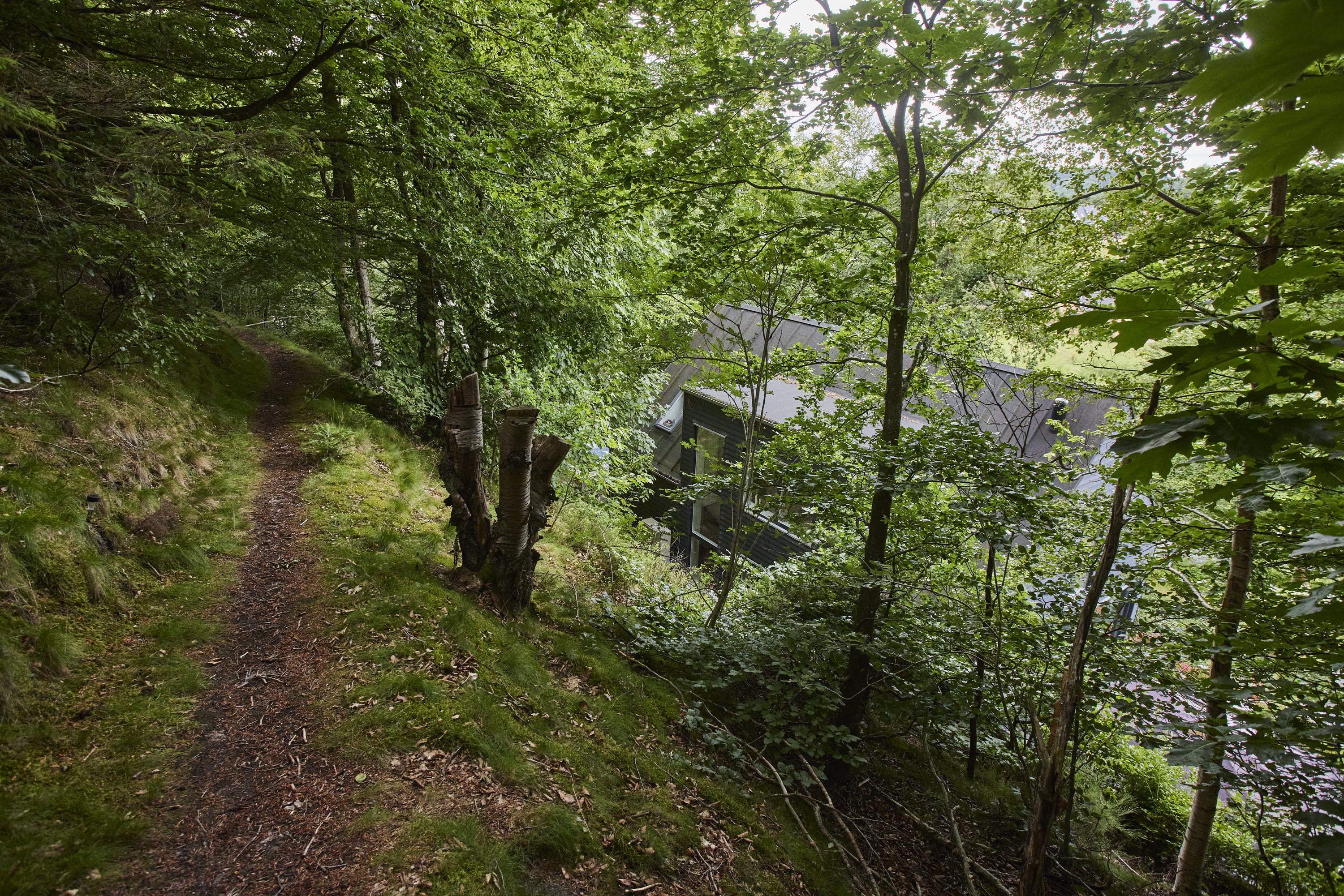 Fremhævet skov billede i fuldskærmstilstand. Billede af Højlundvej 4, Voervadsbro, 8660 Skanderborg