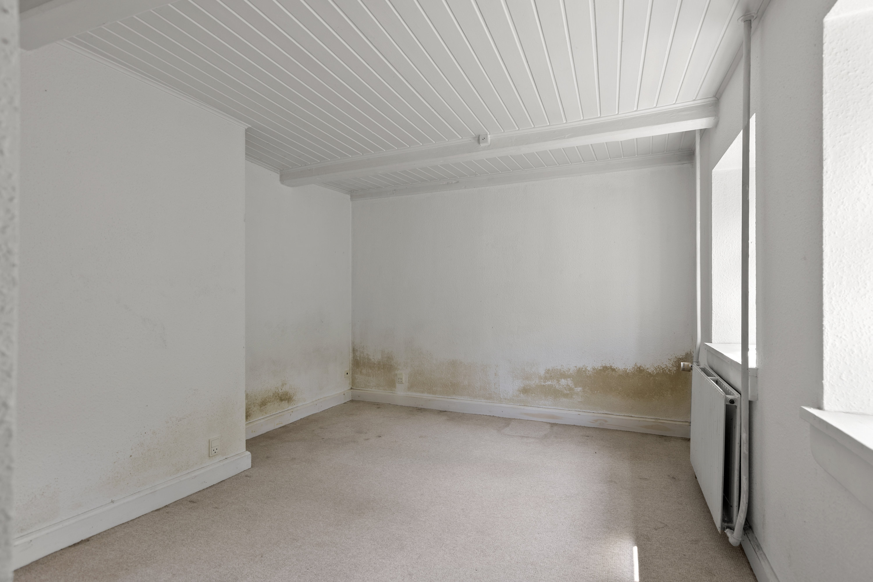 Fremhævet værelse billede i fuldskærmstilstand. Billede af Højtoften 2, 4050 Skibby