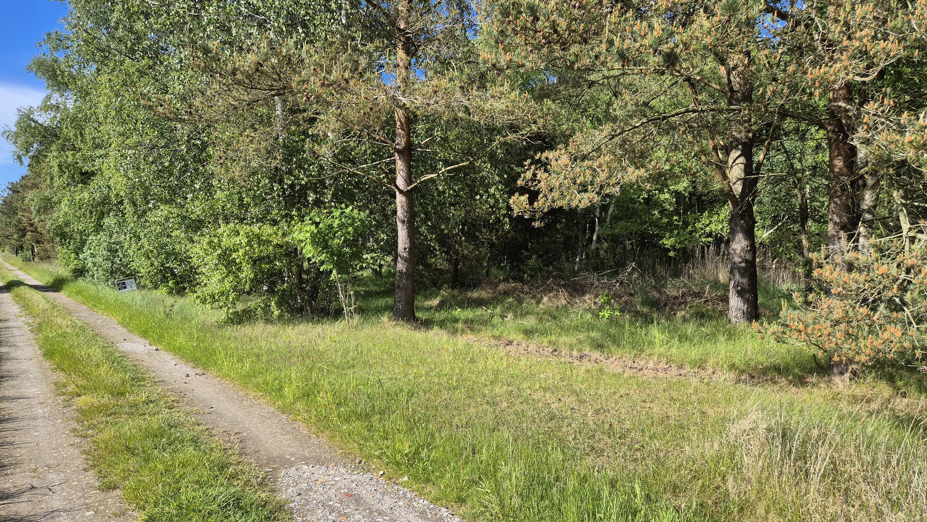 Miniaturebillede 1: . Billede af Mirabellevej 6, Nordmarken, 9940 Læsø