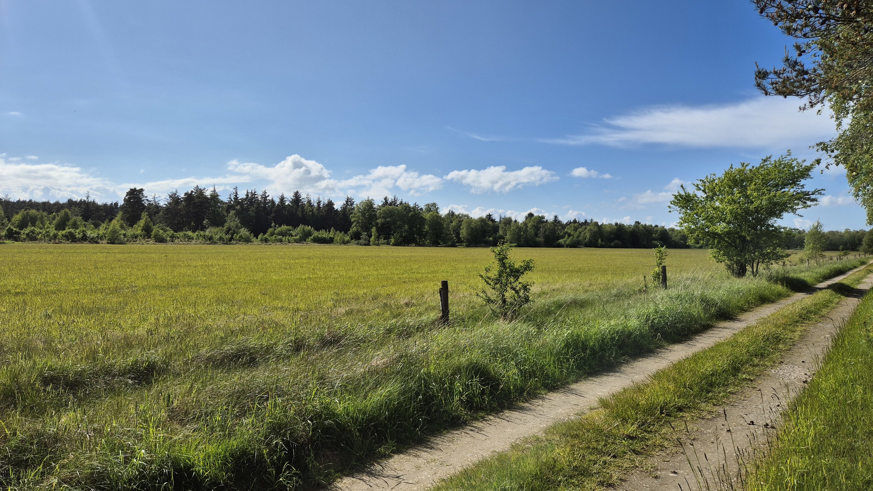Miniaturebillede 2: . Billede af Mirabellevej 6, Nordmarken, 9940 Læsø