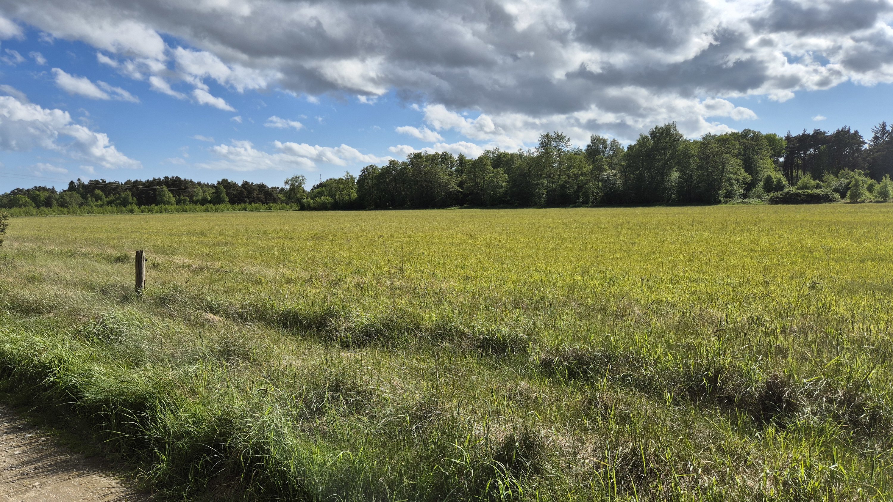 Fremhævet  billede i fuldskærmstilstand. Billede af Mirabellevej 6, Nordmarken, 9940 Læsø