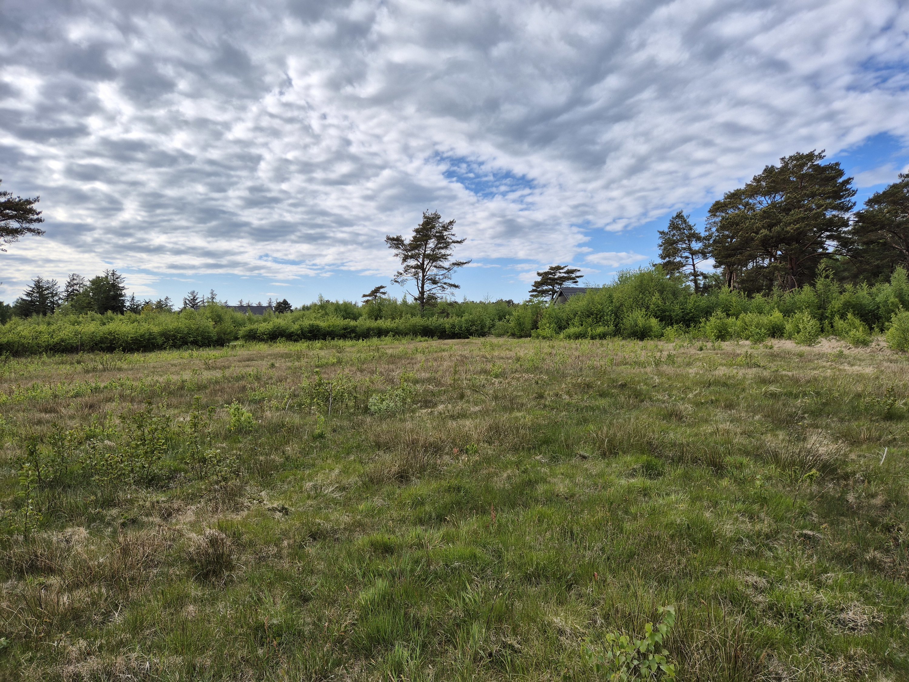 Miniaturebillede 1: . Billede af Sydhavnsvej 23, Østerby, 9940 Læsø