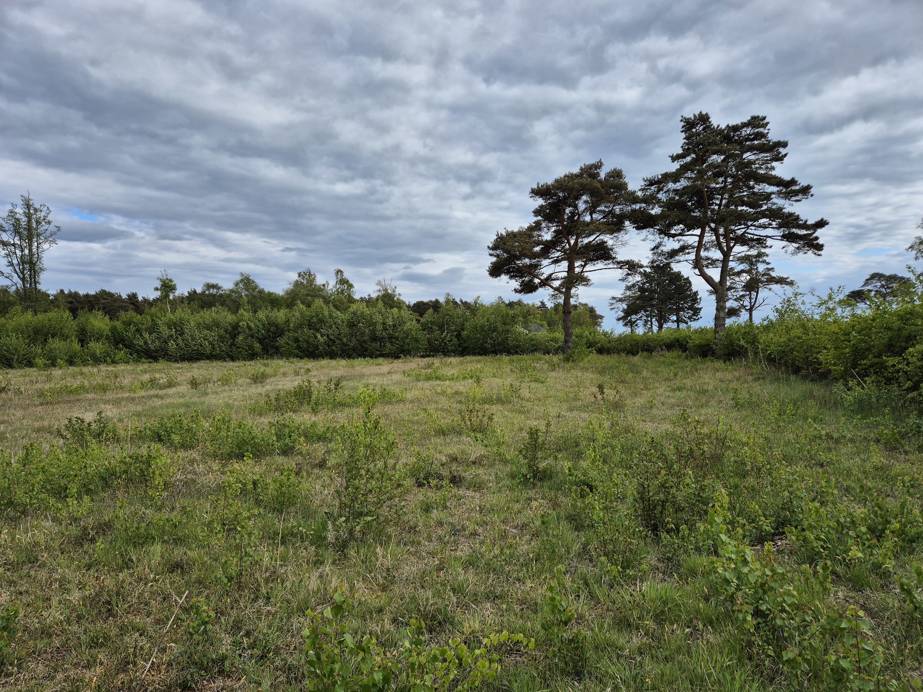Fritidsgrund på Sydhavnsvej 23, Østerby, 9940 Læsø