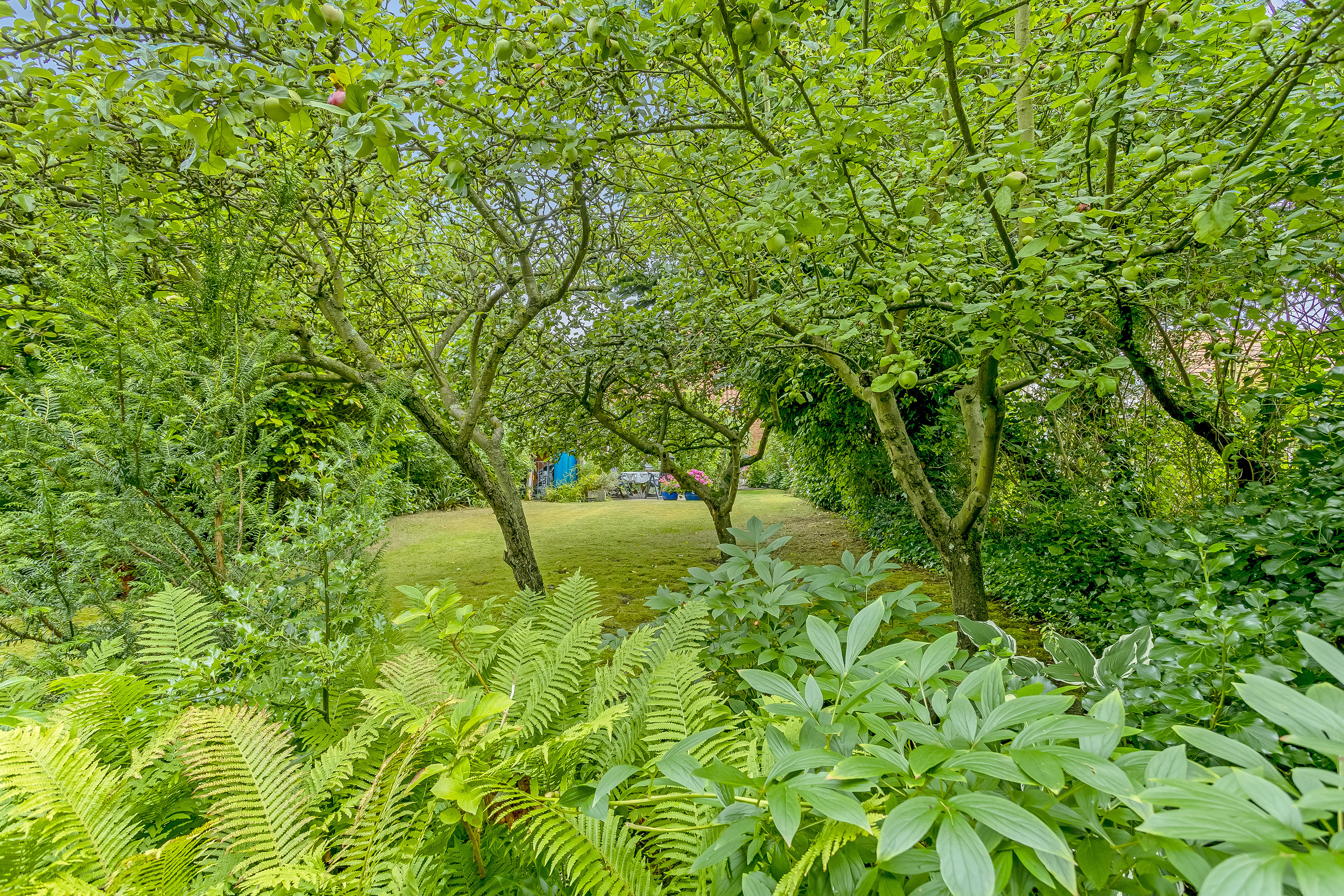 Fremhævet have billede i fuldskærmstilstand. Billede af Aavej 11, 4800 Nykøbing F