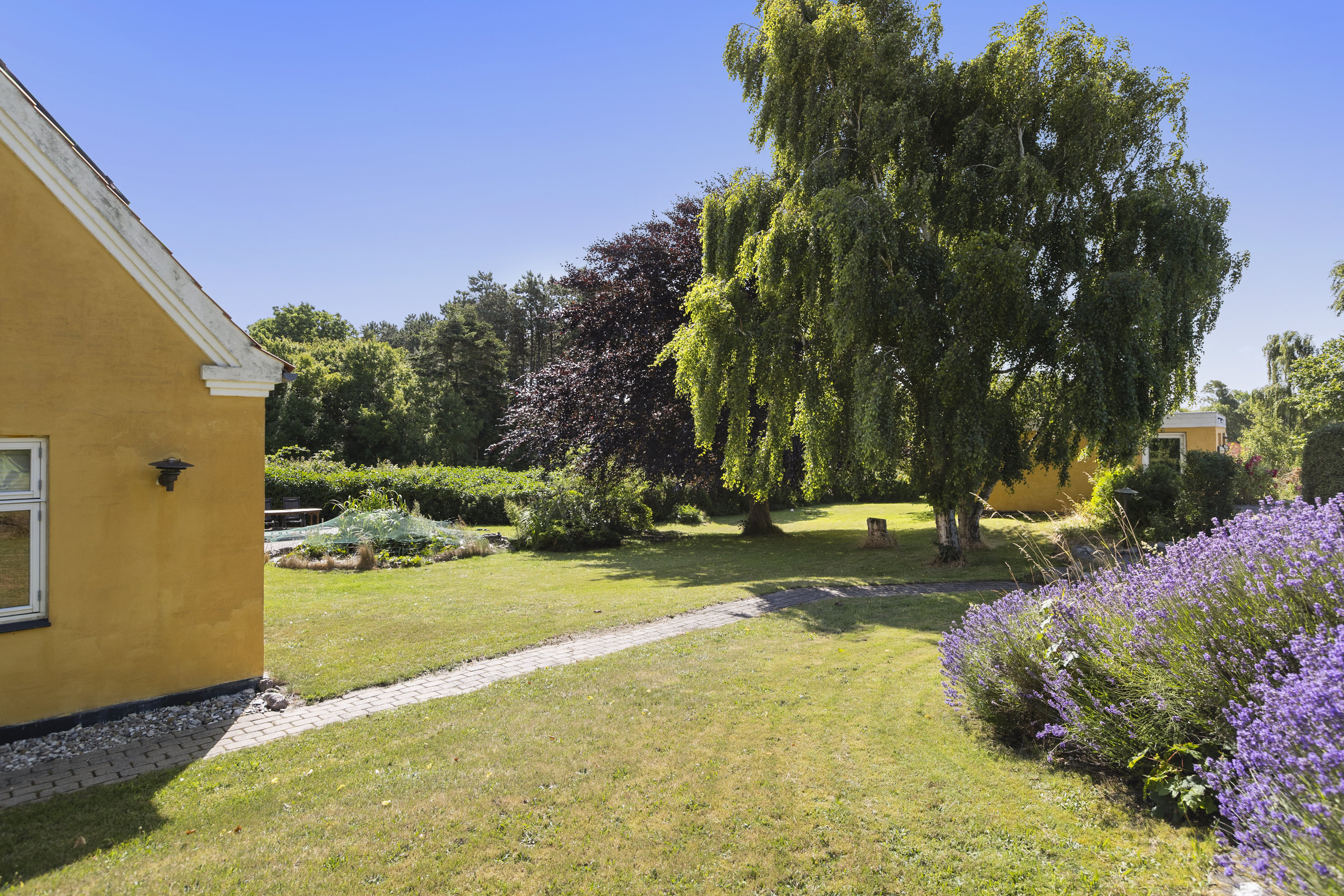 Fremhævet have billede i fuldskærmstilstand. Billede af Nybyvej 6, 4400 Kalundborg