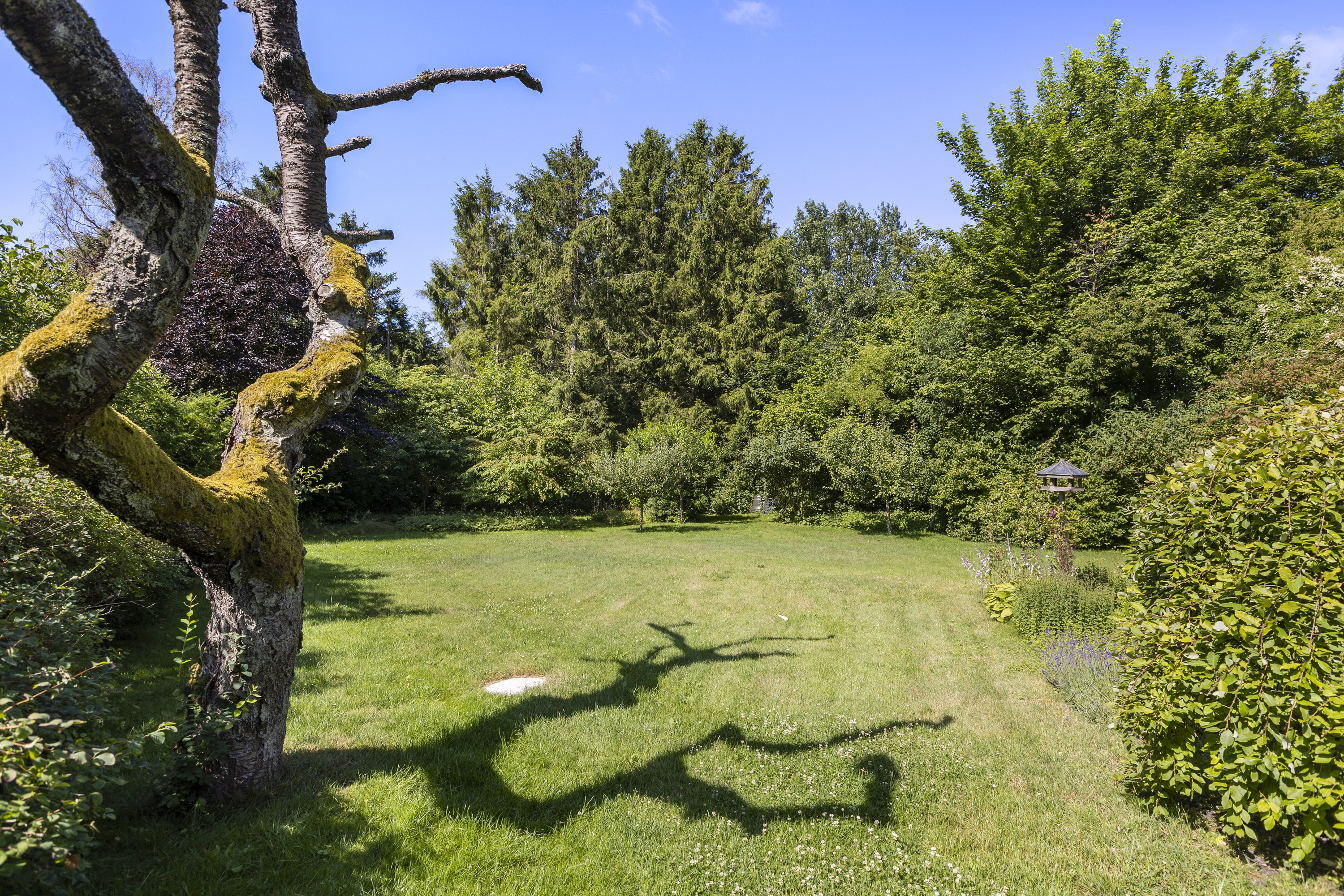 Fremhævet have billede i fuldskærmstilstand. Billede af Saltbæklund 2, 4400 Kalundborg