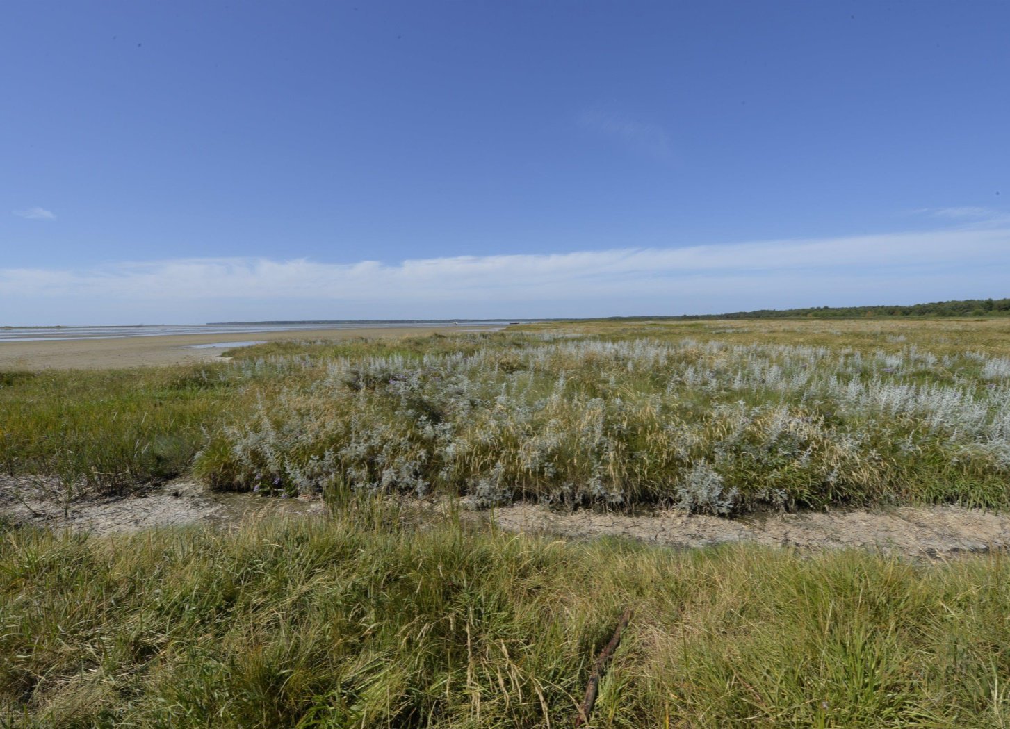 Fremhævet  billede i fuldskærmstilstand. Billede af Sydhavnsvej 23, Østerby, 9940 Læsø