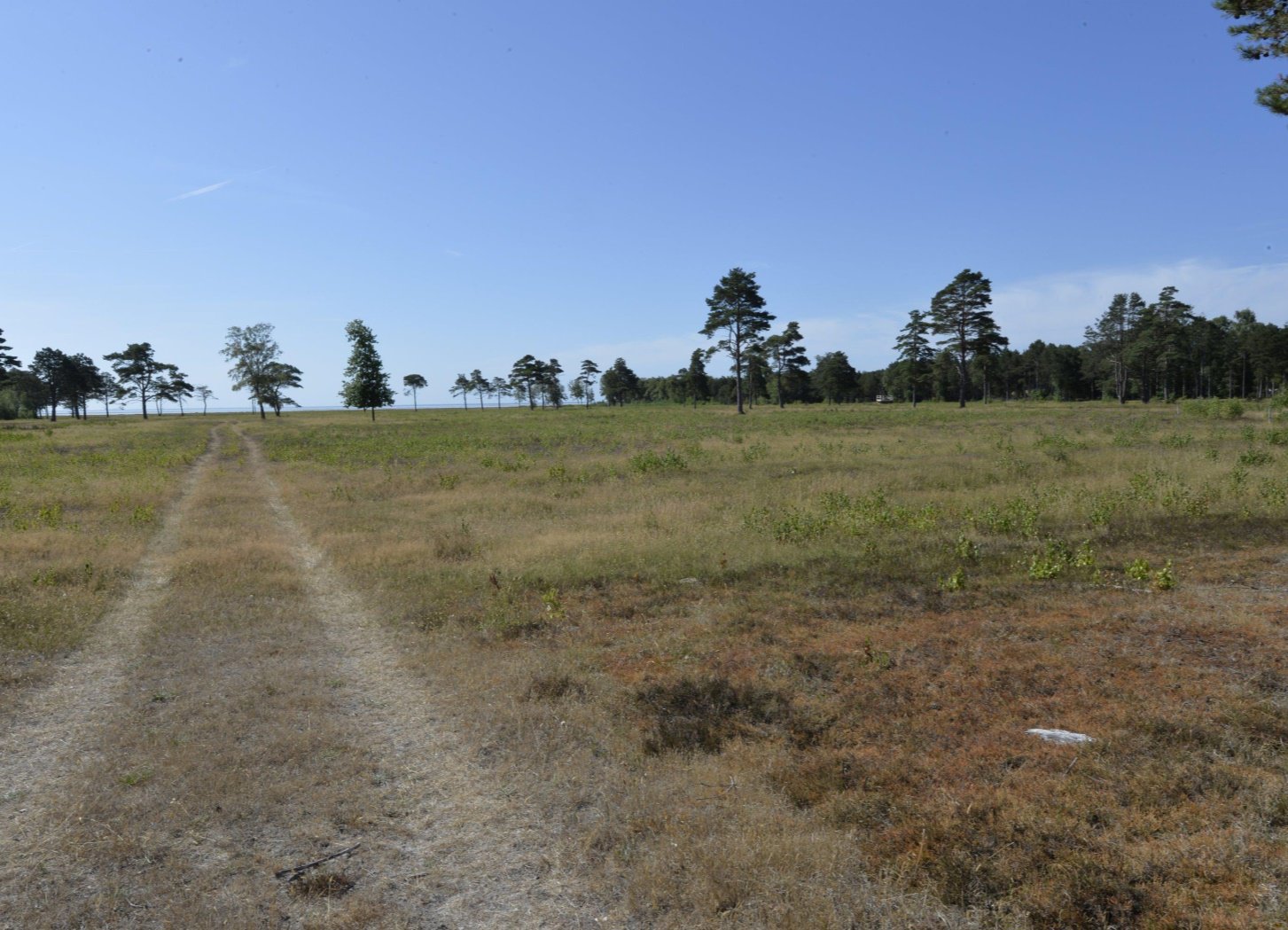 Fremhævet  billede i fuldskærmstilstand. Billede af Sydhavnsvej 23, Østerby, 9940 Læsø