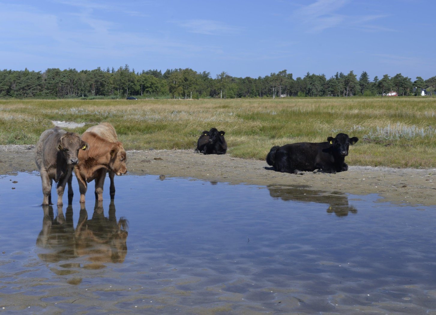 Fremhævet  billede i fuldskærmstilstand. Billede af Sydhavnsvej 23, Østerby, 9940 Læsø