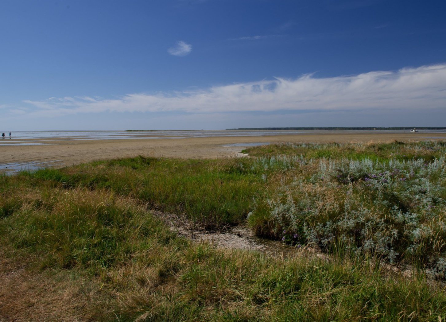Fremhævet  billede i fuldskærmstilstand. Billede af Sydhavnsvej 23, Østerby, 9940 Læsø