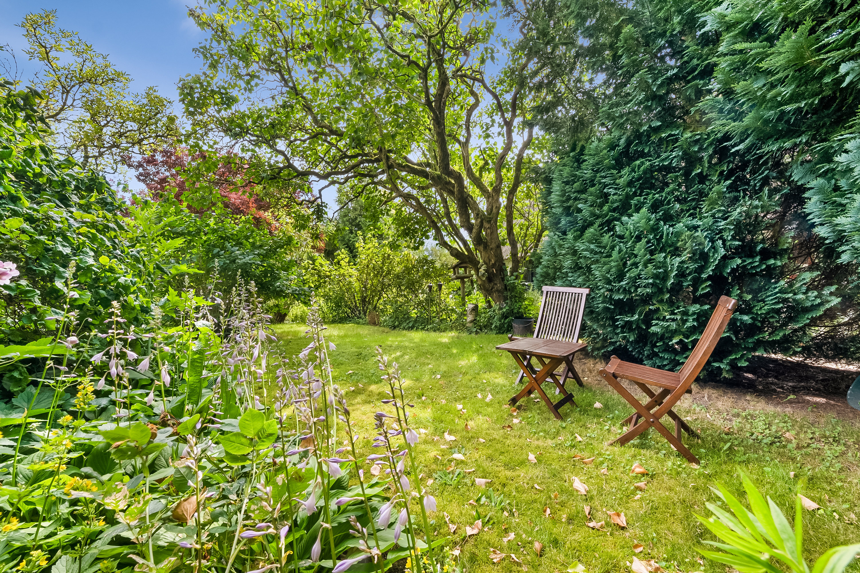 Fremhævet have billede i fuldskærmstilstand. Billede af Strandbyvej 77, 5683 Haarby