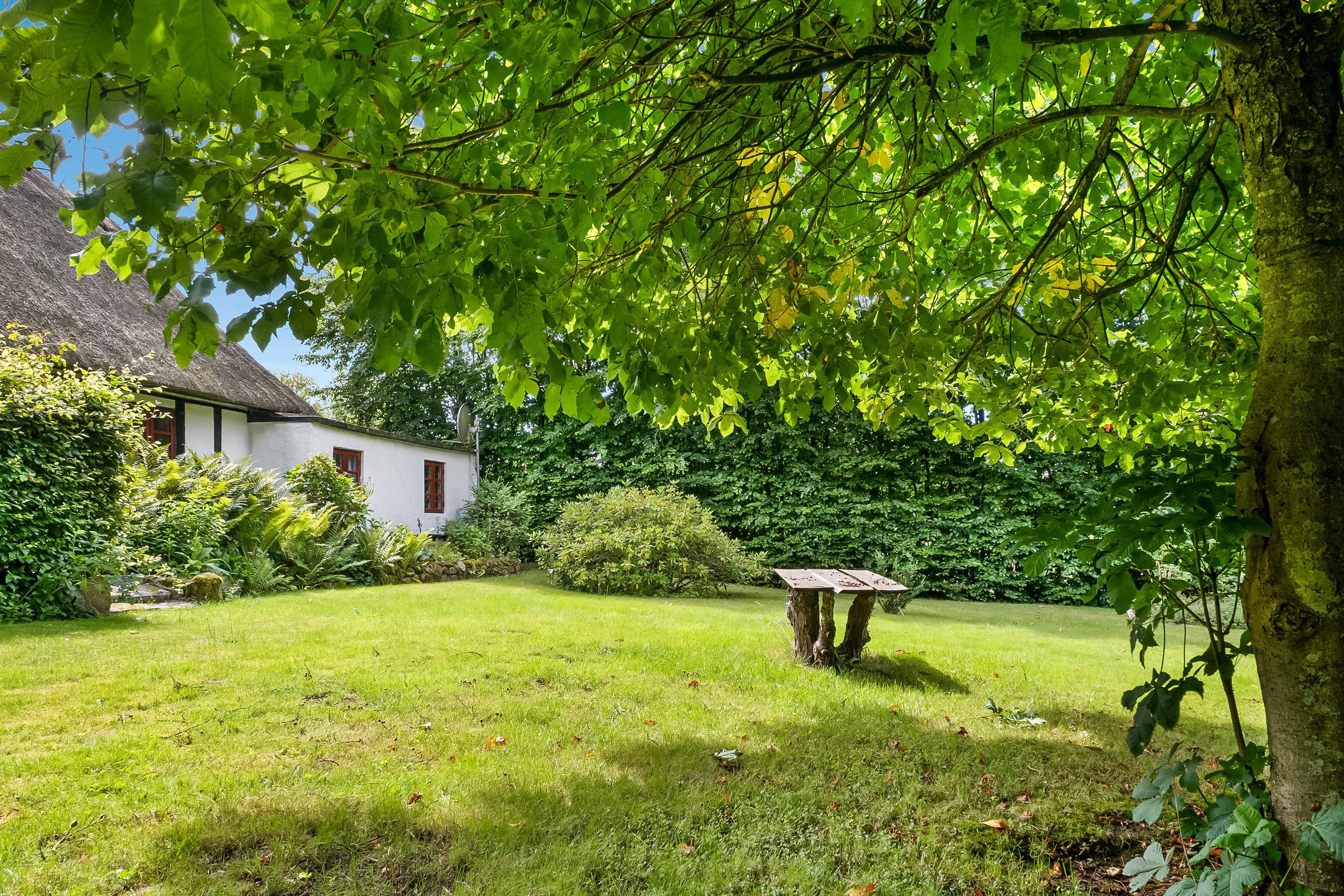 Fremhævet have billede i fuldskærmstilstand. Billede af Strandbyvej 77, 5683 Haarby