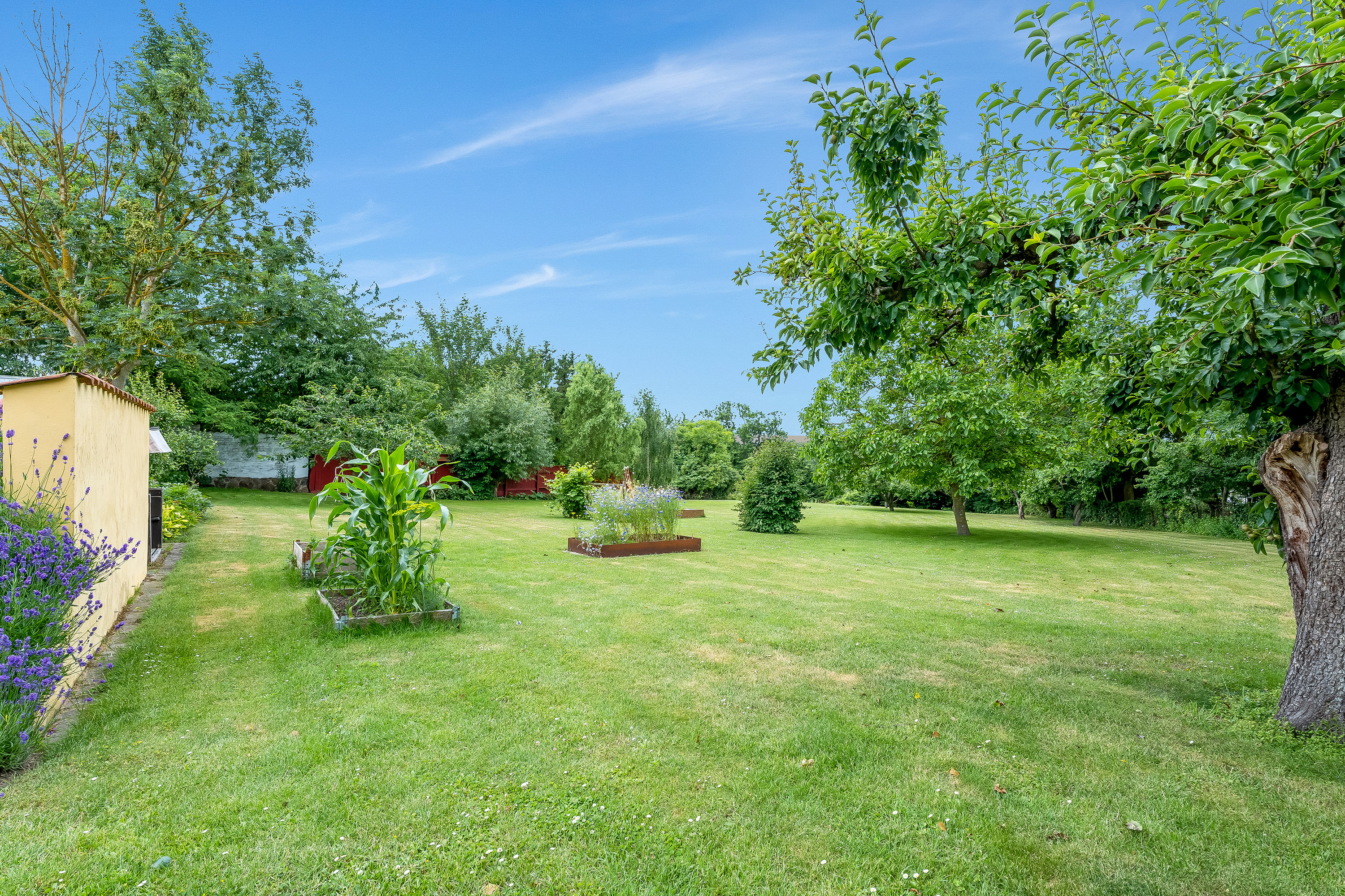 Fremhævet have billede i fuldskærmstilstand. Billede af Adelgade 4B og 4A, 4880 Nysted