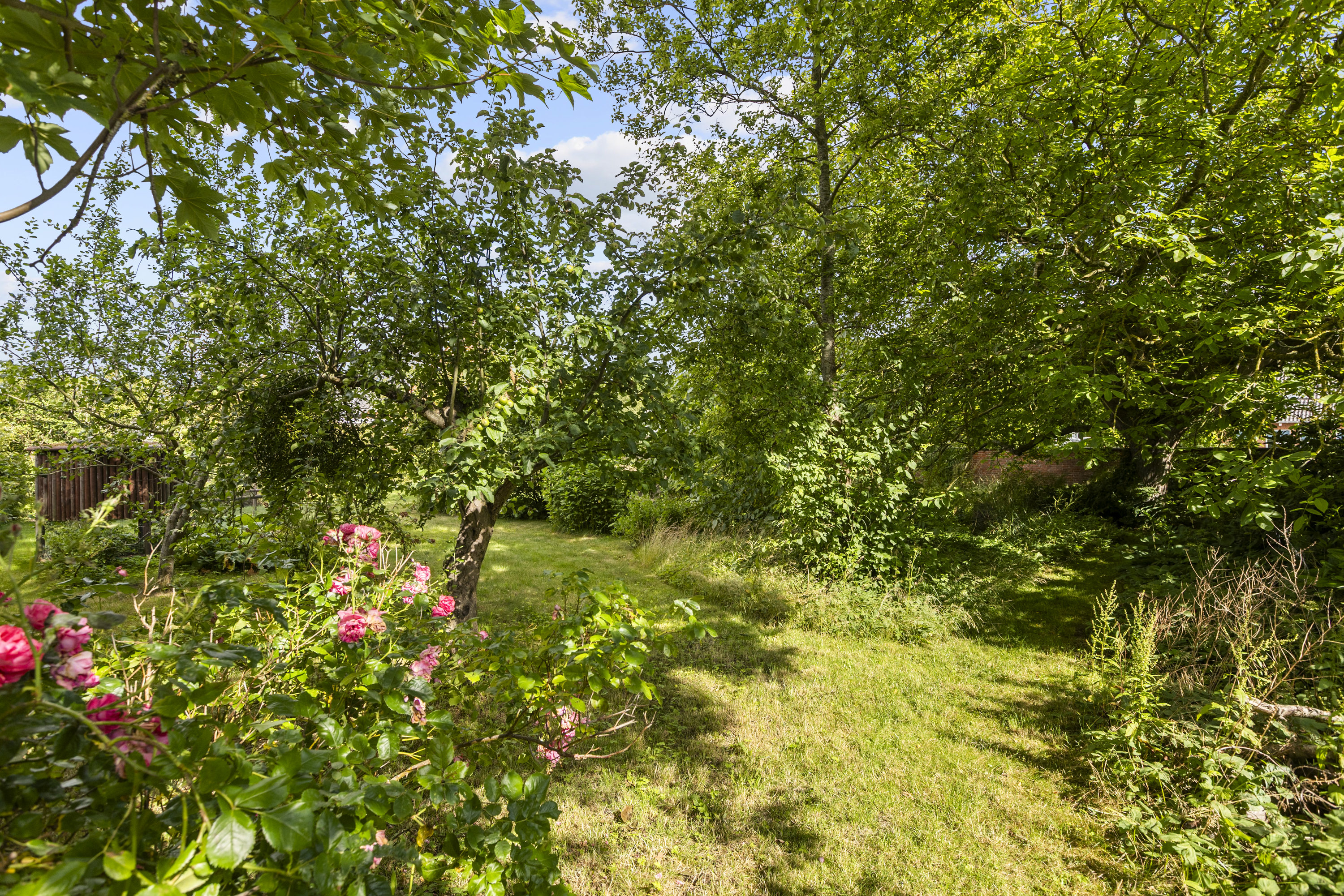 Fremhævet have billede i fuldskærmstilstand. Billede af Skolevej 3, 4490 Jerslev Sjælland