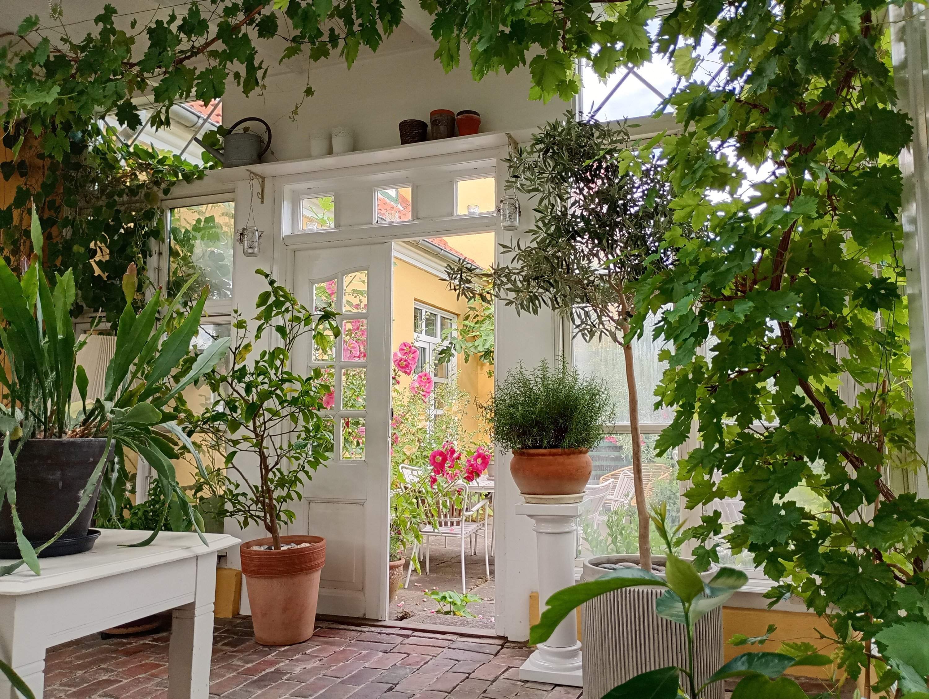 Fremhævet  billede i fuldskærmstilstand. Billede af Teglgårdsparken 40A, 5500 Middelfart