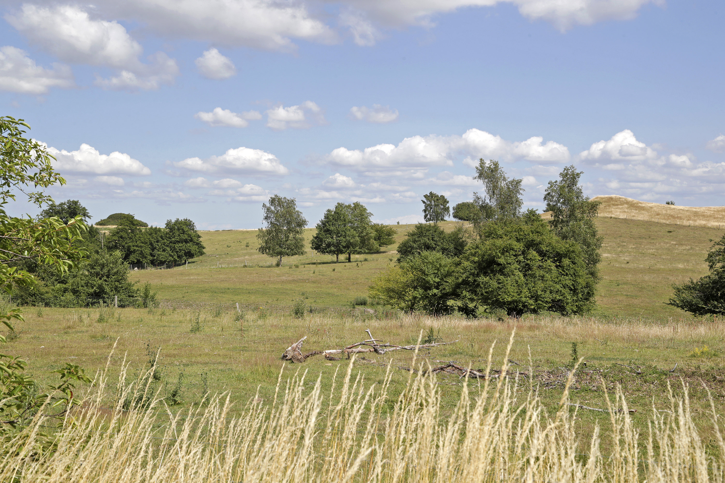 Fremhævet  billede i fuldskærmstilstand. Billede af Fyrvænget 28, Vellerup, 4050 Skibby