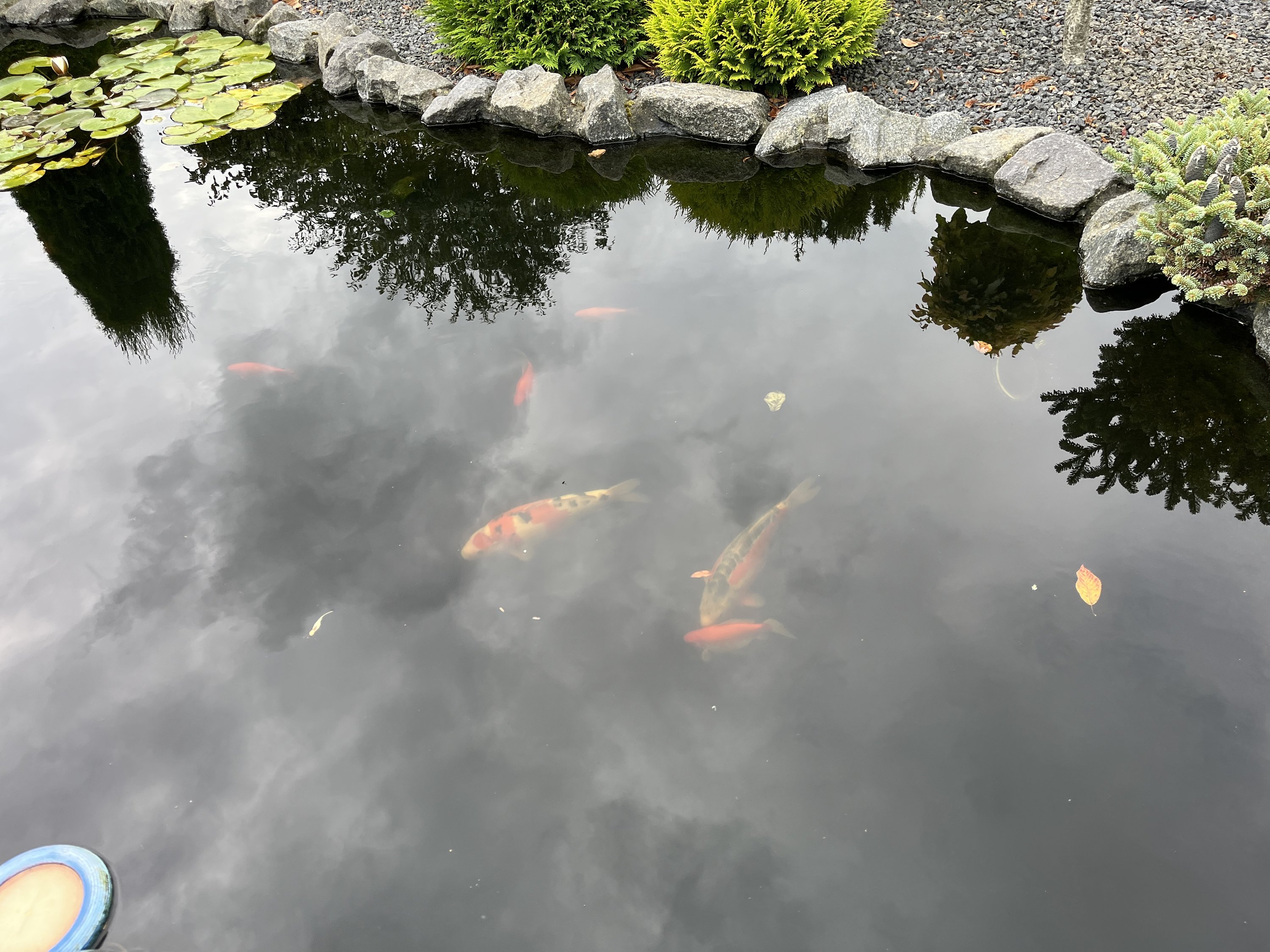 Fremhævet  billede i fuldskærmstilstand. Billede af Lundager 1, Ørum, 8830 Tjele