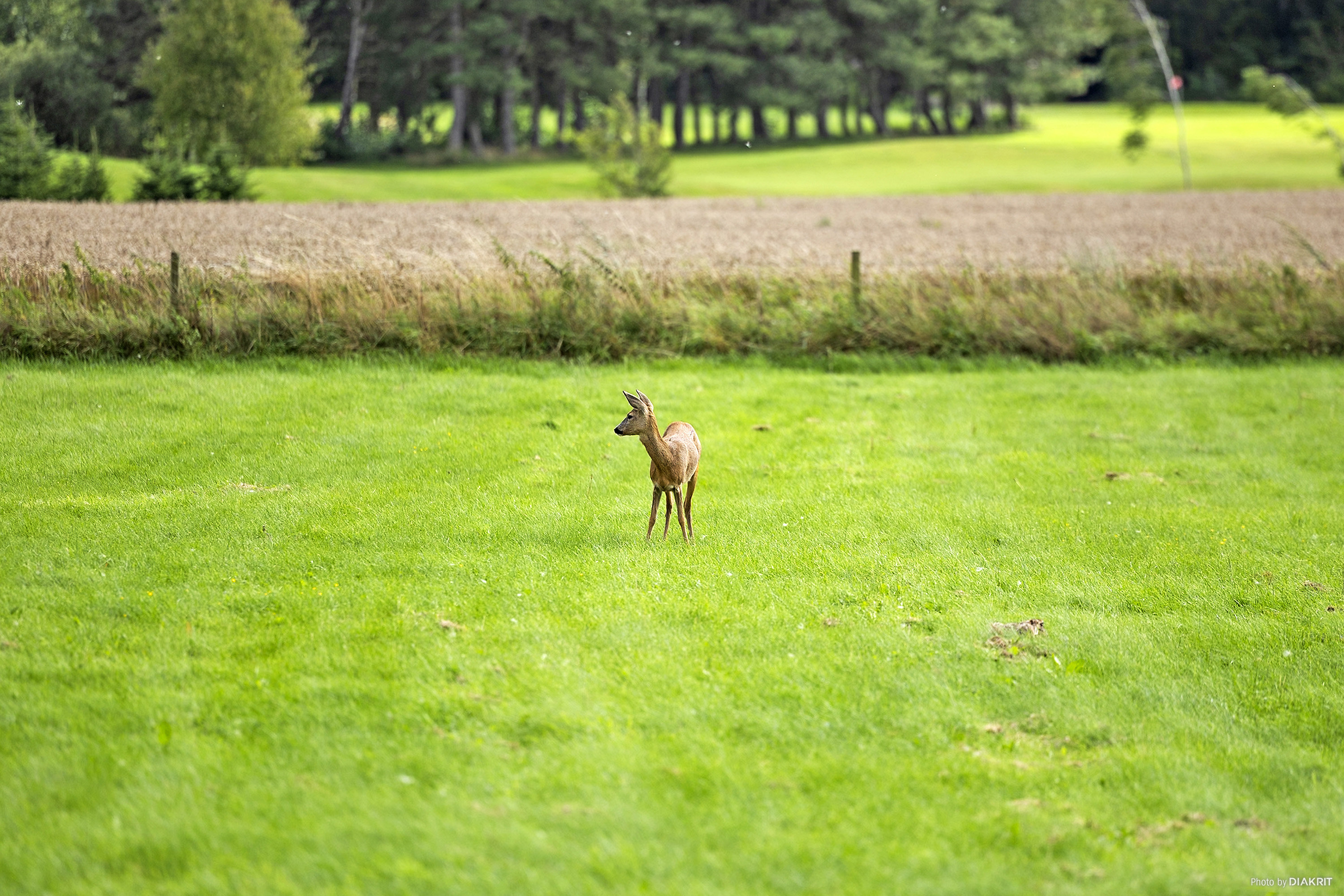 Fremhævet område billede i fuldskærmstilstand. Billede af Husmandsvejen 11, 4600 Køge