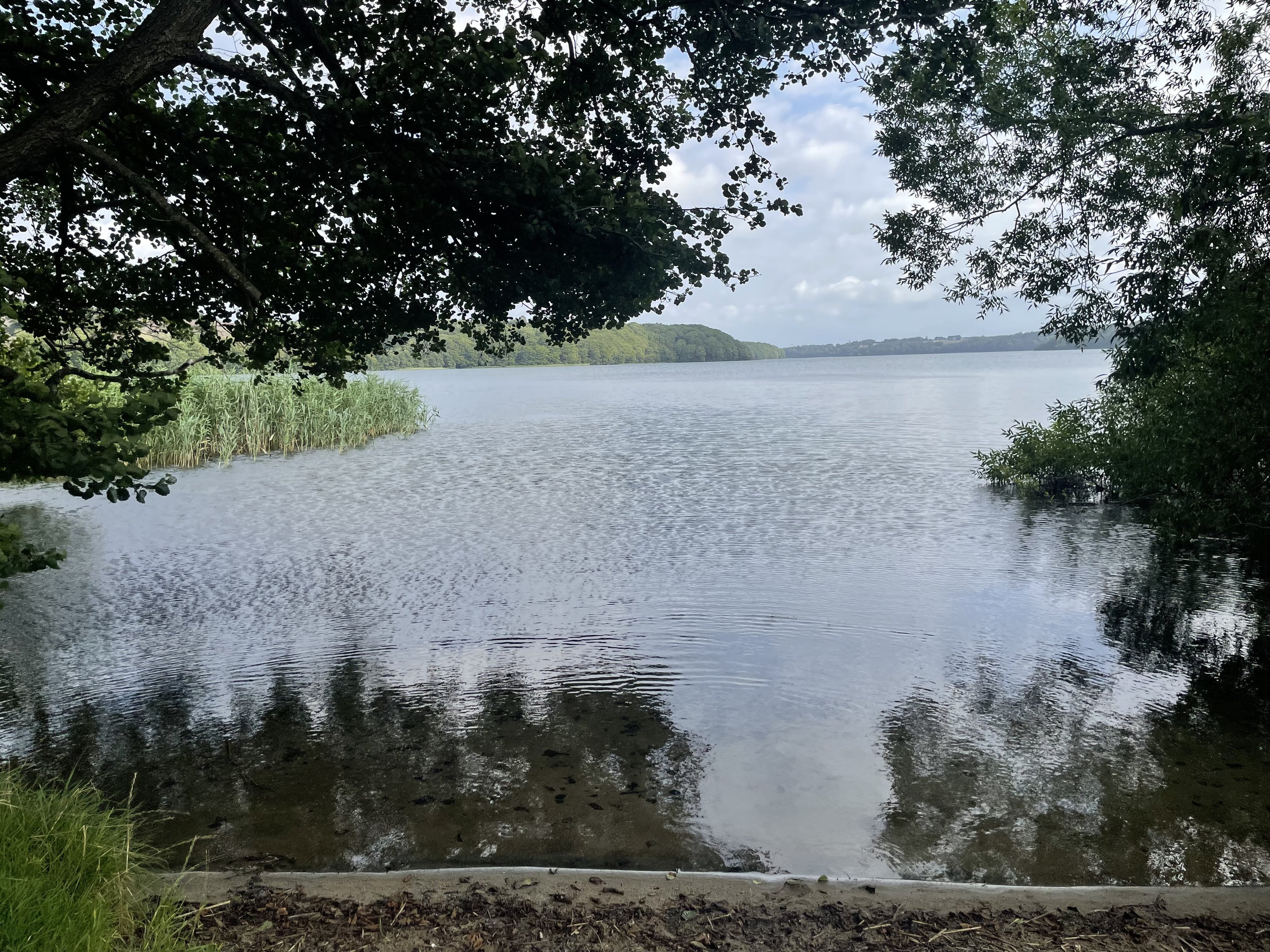 Fremhævet  billede i fuldskærmstilstand. Billede af Dollerupvej 176, 8800 Viborg