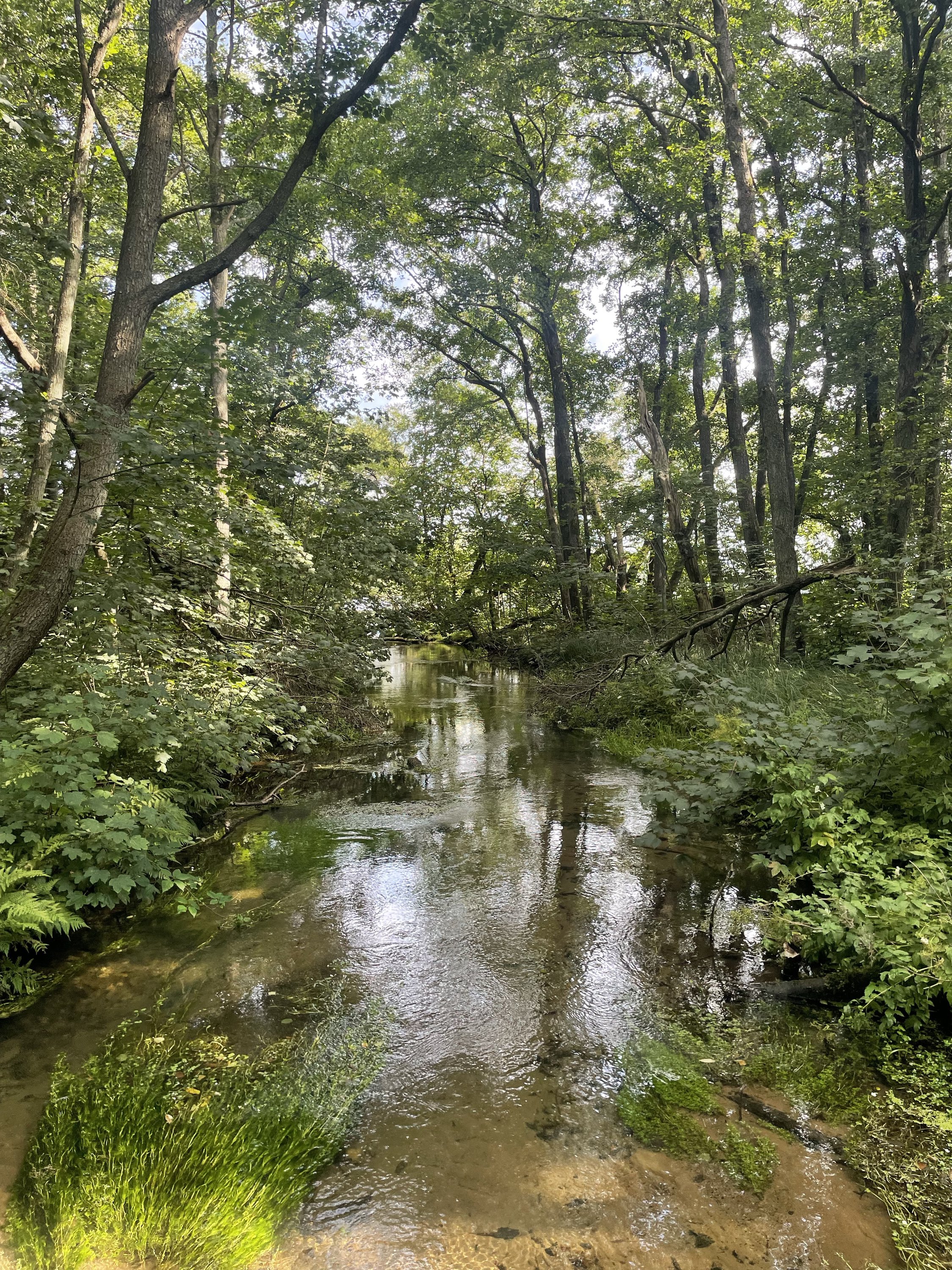 Fremhævet  billede i fuldskærmstilstand. Billede af Dollerupvej 176, 8800 Viborg