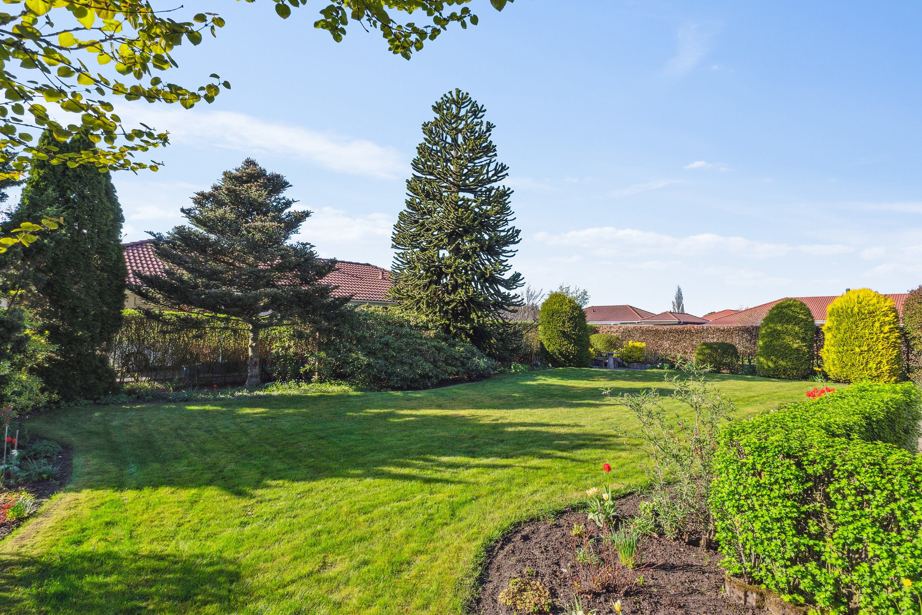 Fremhævet  billede i fuldskærmstilstand. Billede af Lupinmarken 130, 8800 Viborg