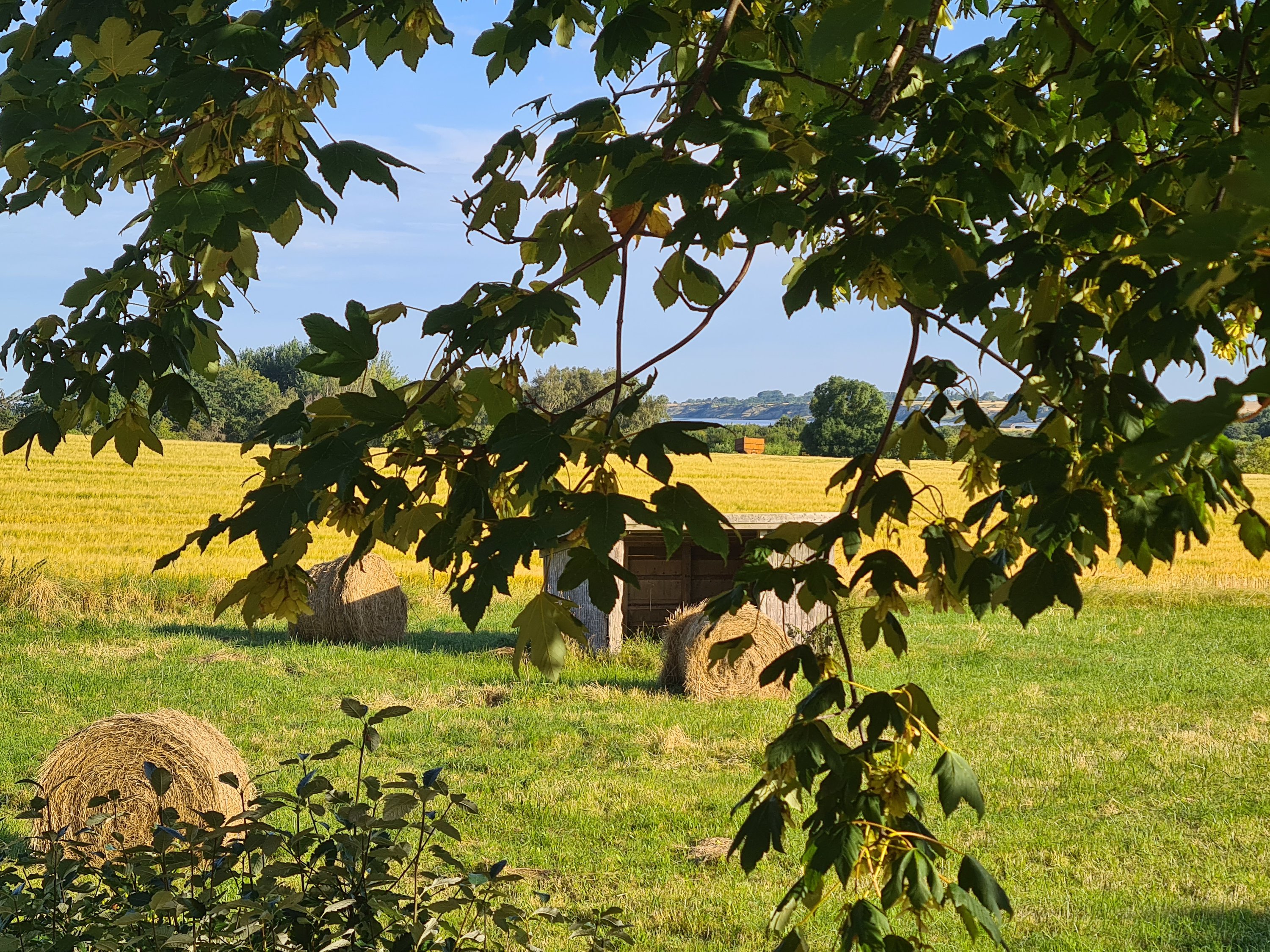 Fremhævet  billede i fuldskærmstilstand. Billede af Lebymarksvej 12, 5985 Søby Ærø