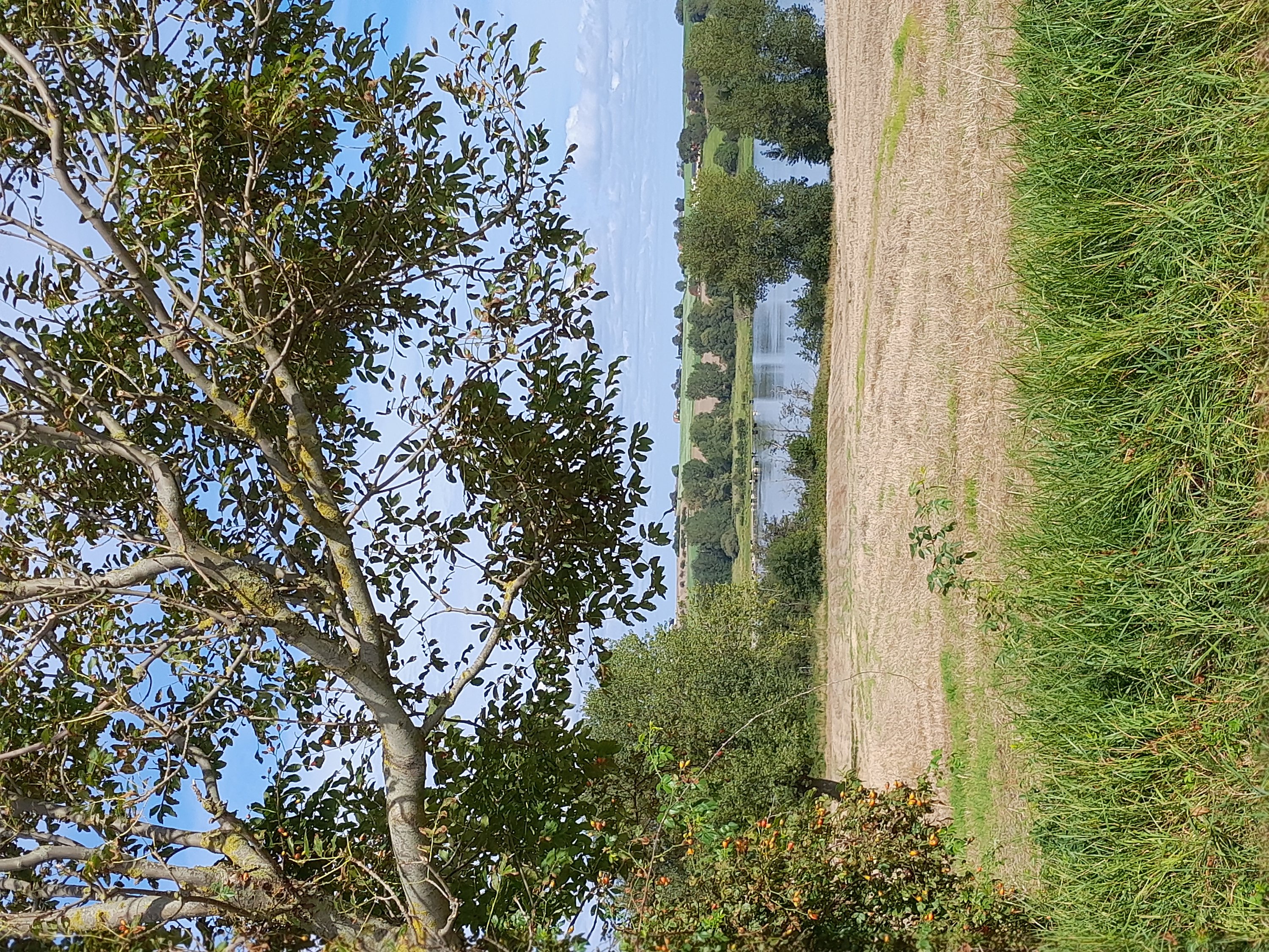 Fremhævet  billede i fuldskærmstilstand. Billede af Lebymarksvej 12, 5985 Søby Ærø