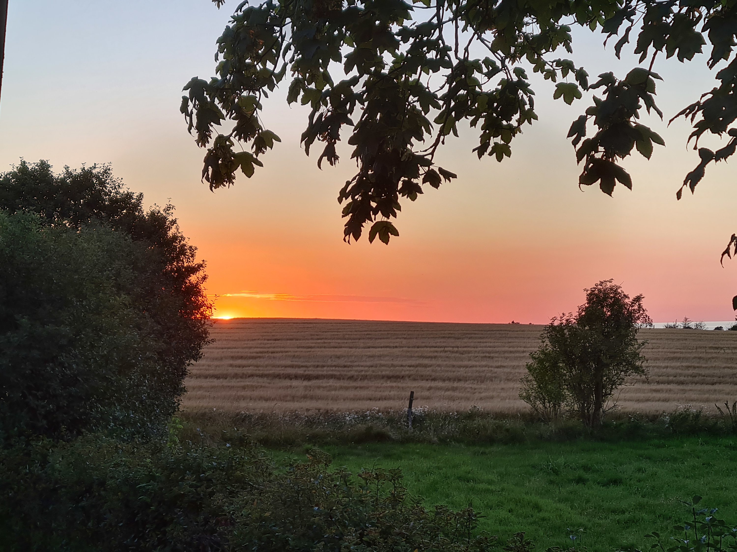 Fremhævet  billede i fuldskærmstilstand. Billede af Lebymarksvej 12, 5985 Søby Ærø