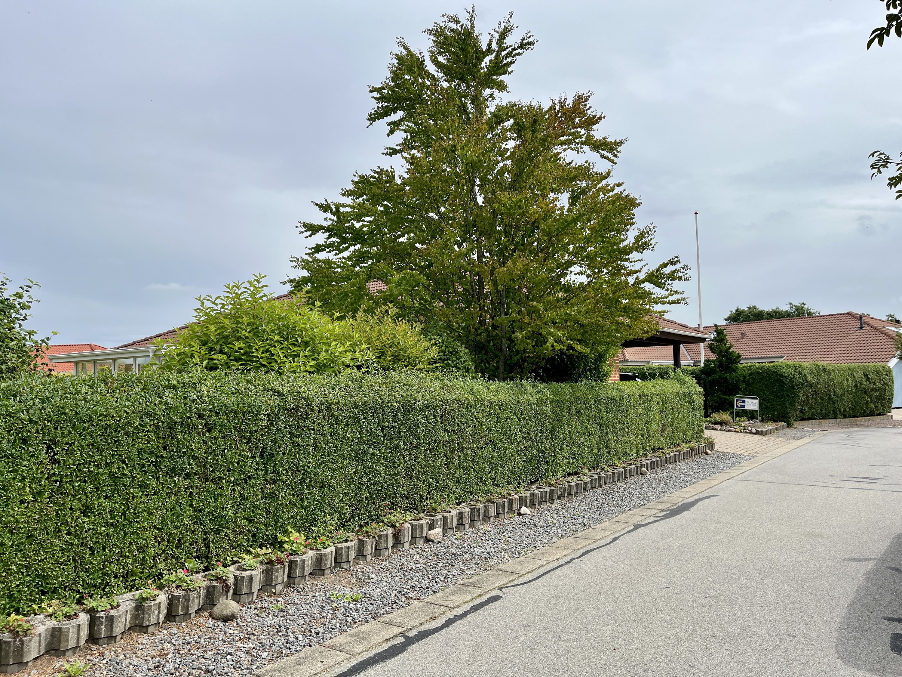 Fremhævet  billede i fuldskærmstilstand. Billede af Lupinmarken 130, 8800 Viborg