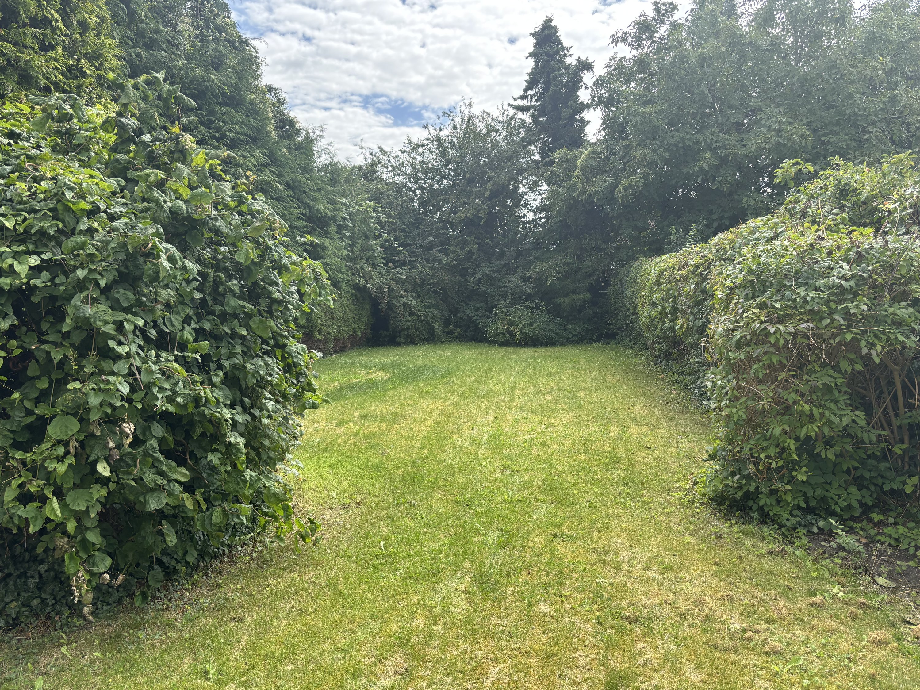 Miniaturebillede 1: have. Billede af Skovsgårdsvej 1, 4900 Nakskov