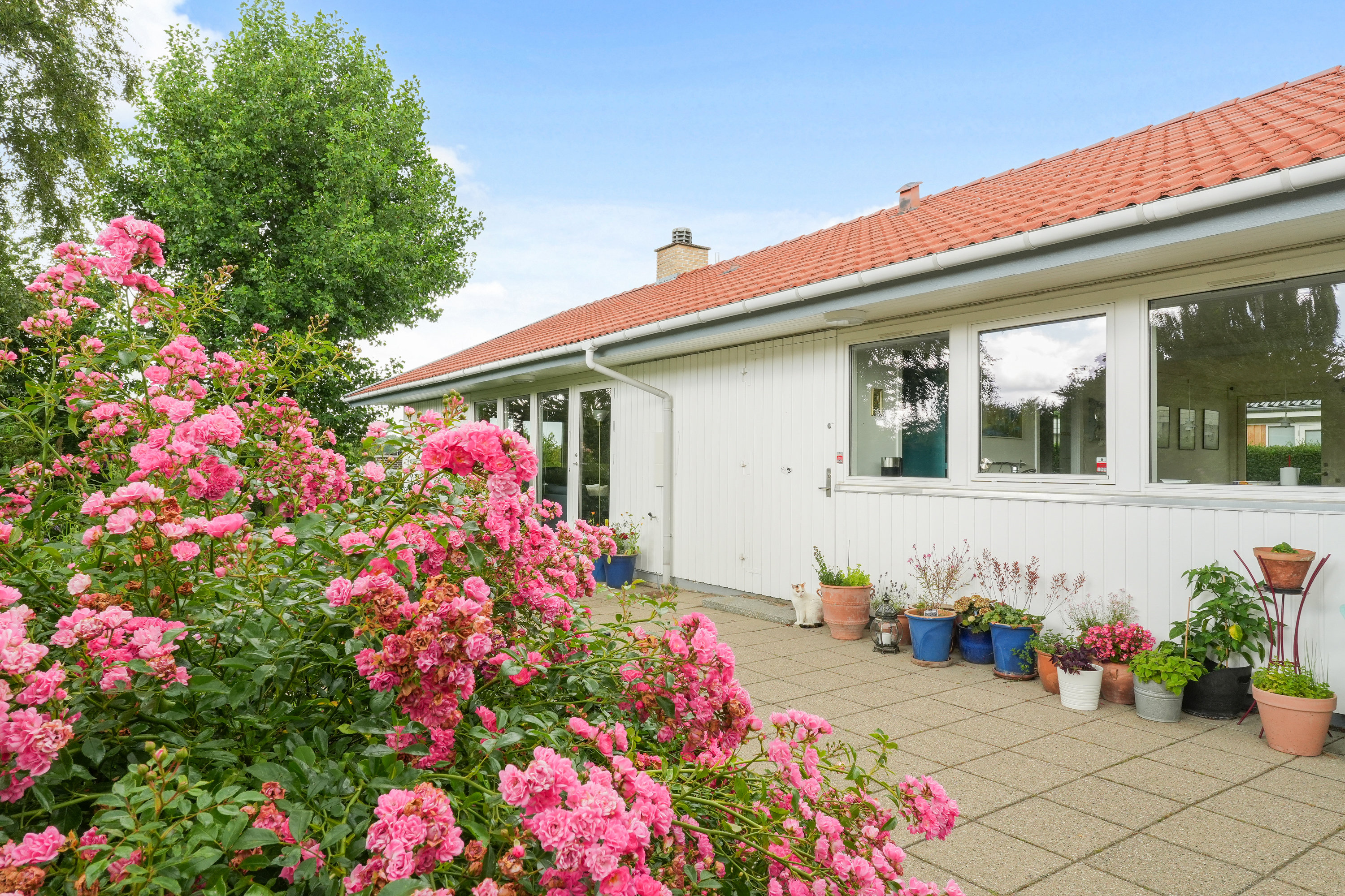 Fremhævet andet billede i fuldskærmstilstand. Billede af Stenløkken 39, 3460 Birkerød