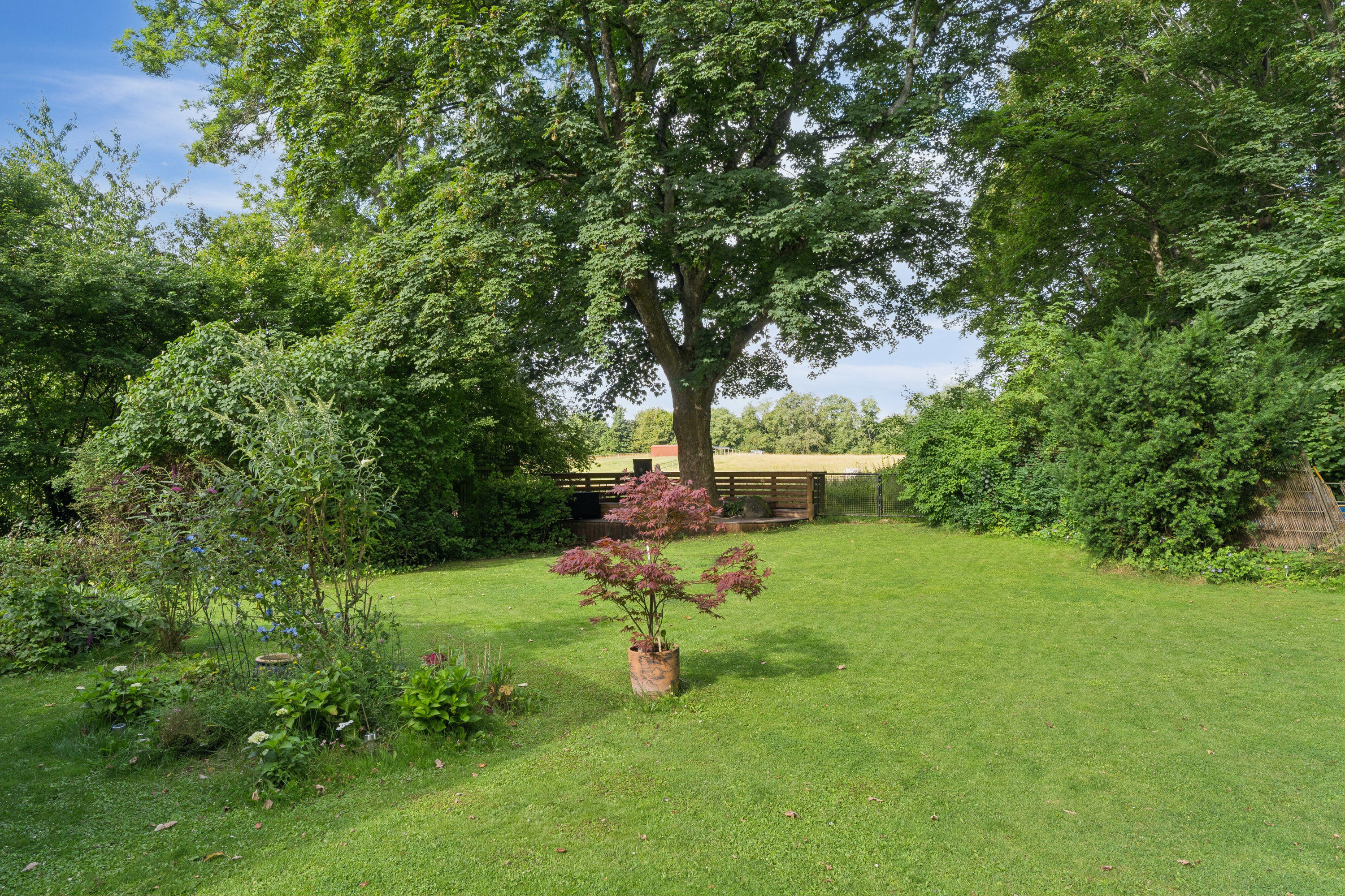 Fremhævet have billede i fuldskærmstilstand. Billede af Kettingevej 23, 2970 Hørsholm