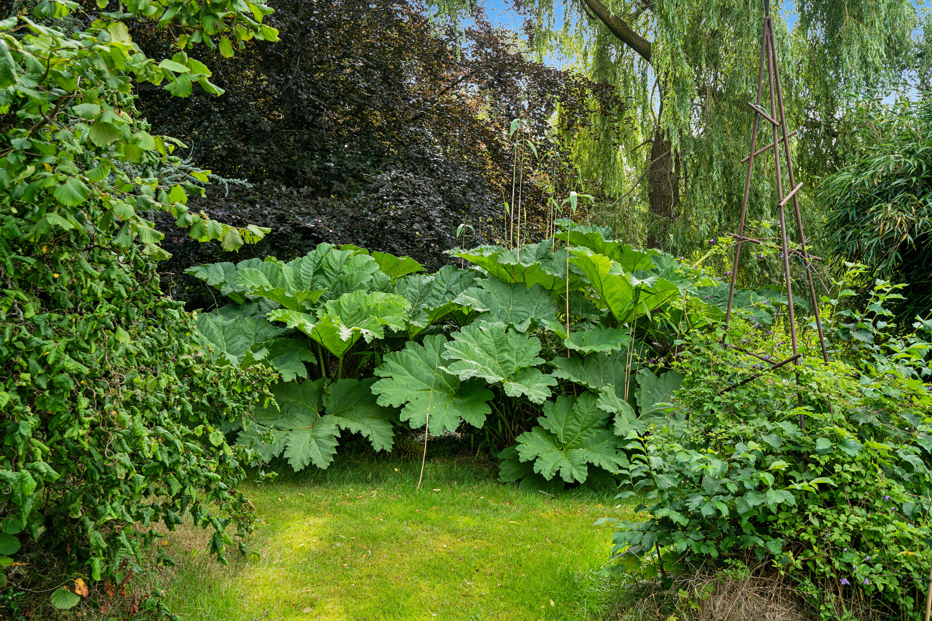Fremhævet have billede i fuldskærmstilstand. Billede af Byrumvej 32, Byrum, 9940 Læsø