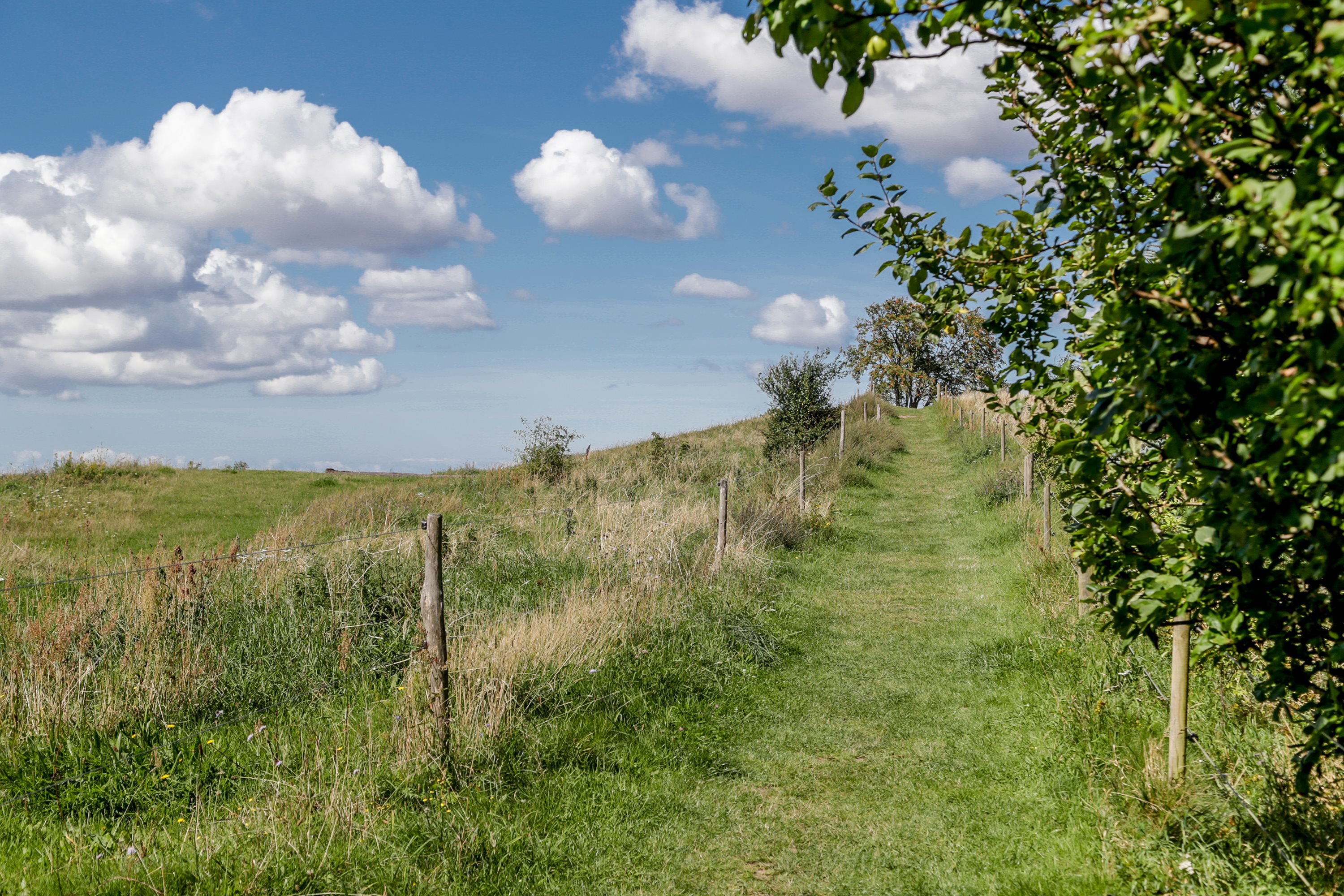 Fremhævet  billede i fuldskærmstilstand. Billede af Mejsevænget 15, Kyndeløse, 4070 Kirke Hyllinge