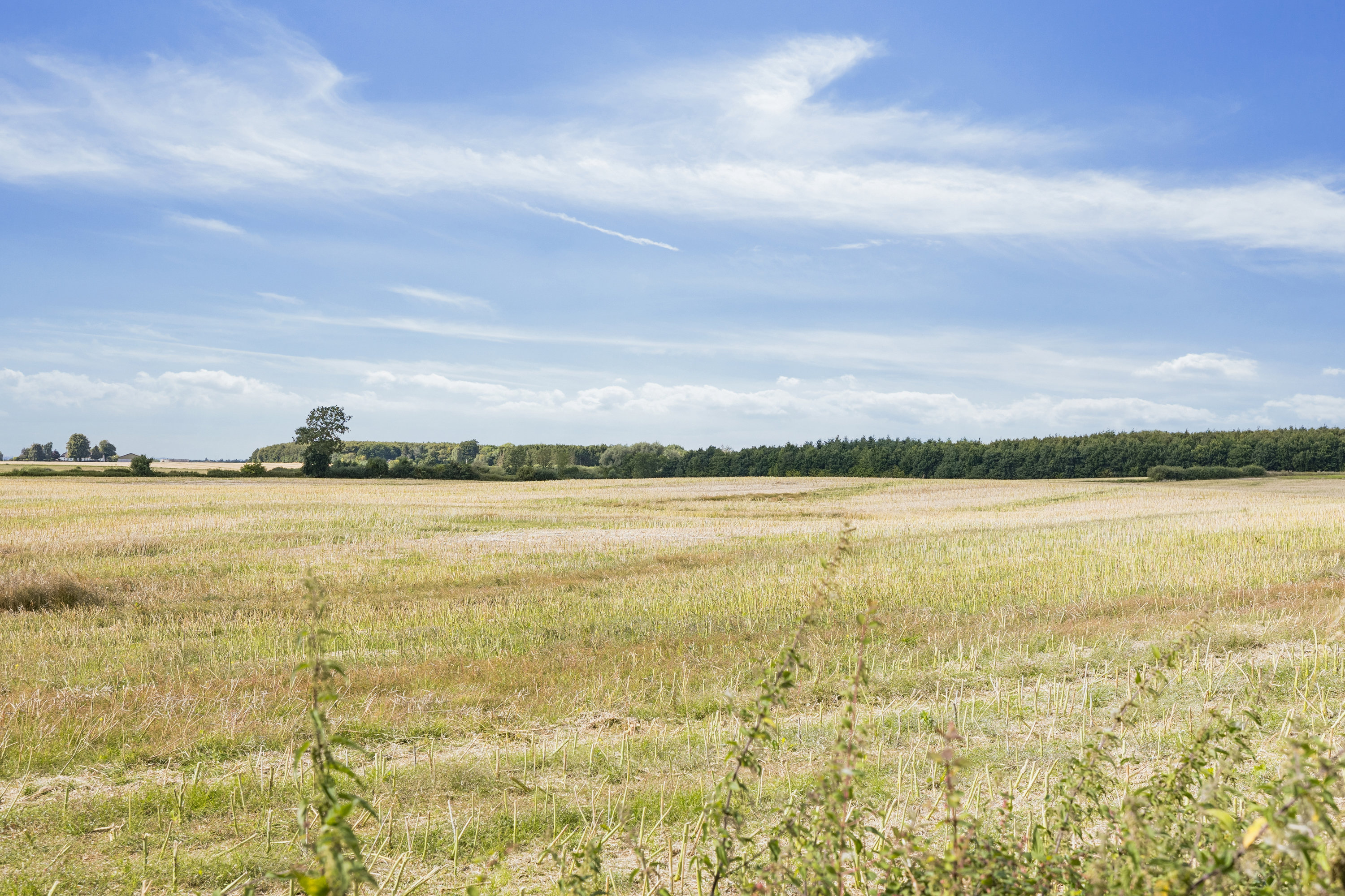 Fremhævet omgivelser billede i fuldskærmstilstand. Billede af Lumbyvej 52, 5792 Årslev