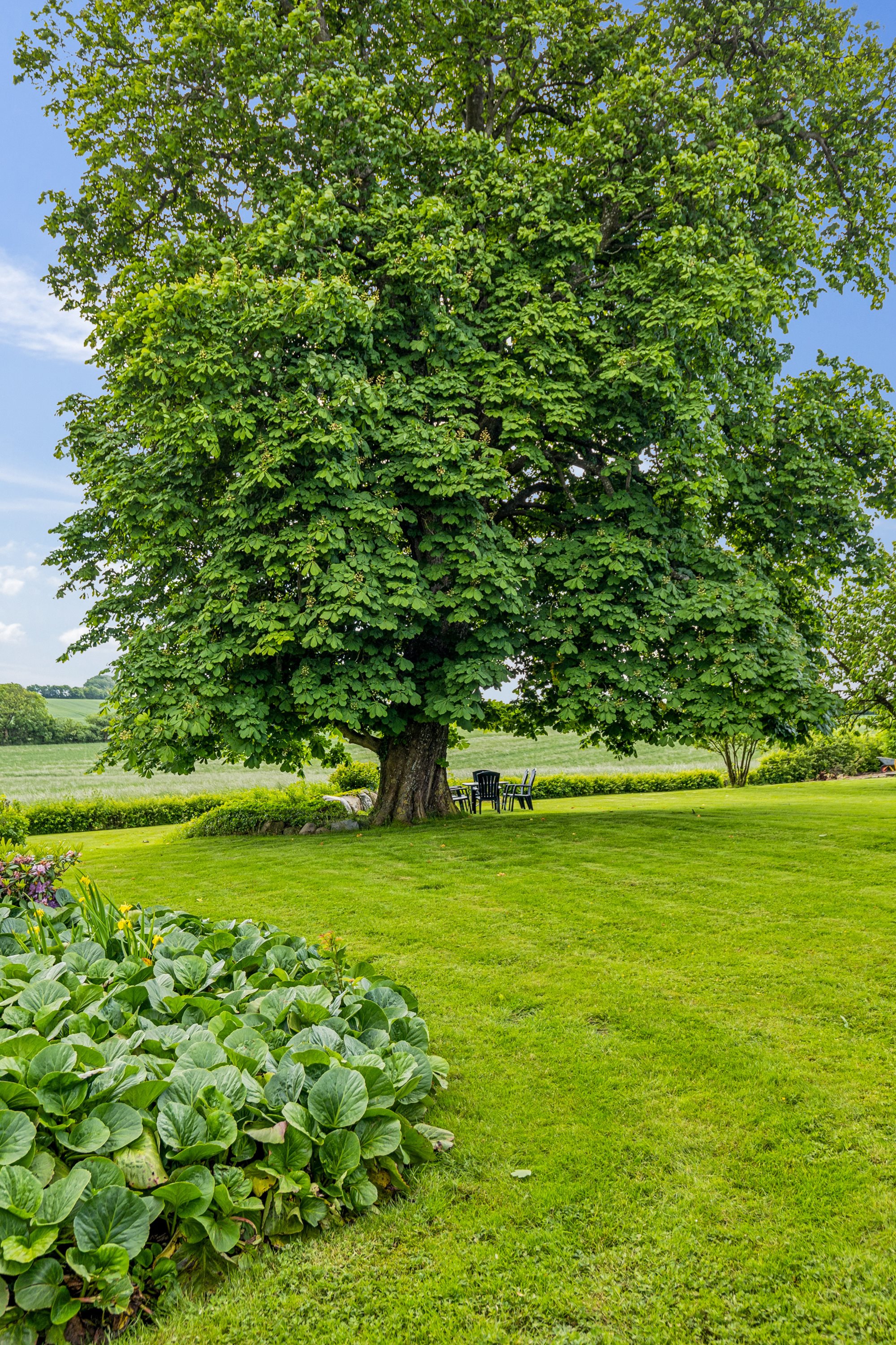 Fremhævet have billede i fuldskærmstilstand. Billede af Hyllerødvej 4A, 8783 Hornsyld
