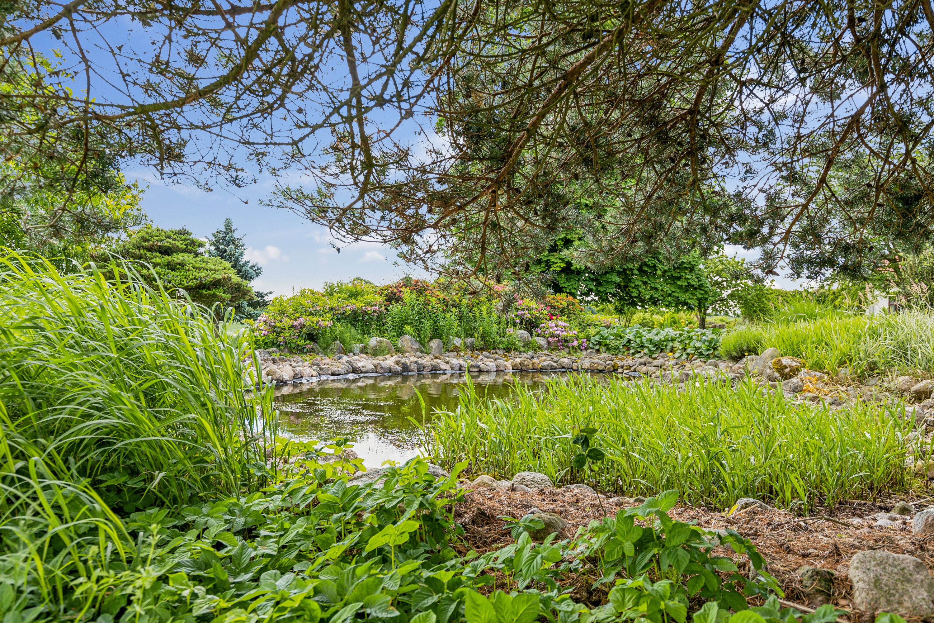 Fremhævet have billede i fuldskærmstilstand. Billede af Hyllerødvej 4A, 8783 Hornsyld