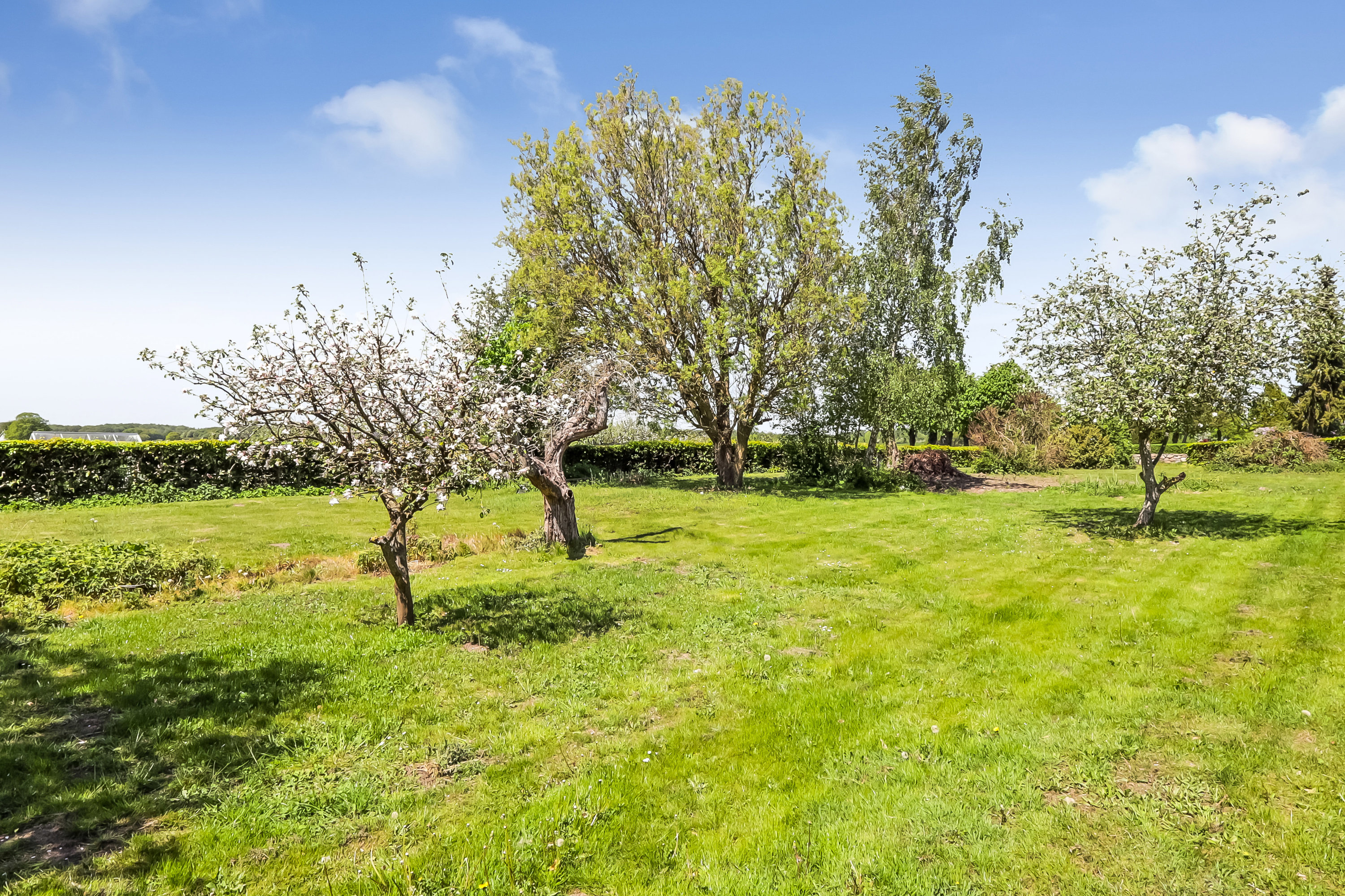 Fremhævet have billede i fuldskærmstilstand. Billede af Åbyvej 8, Hundstrup, 5762 Vester Skerninge