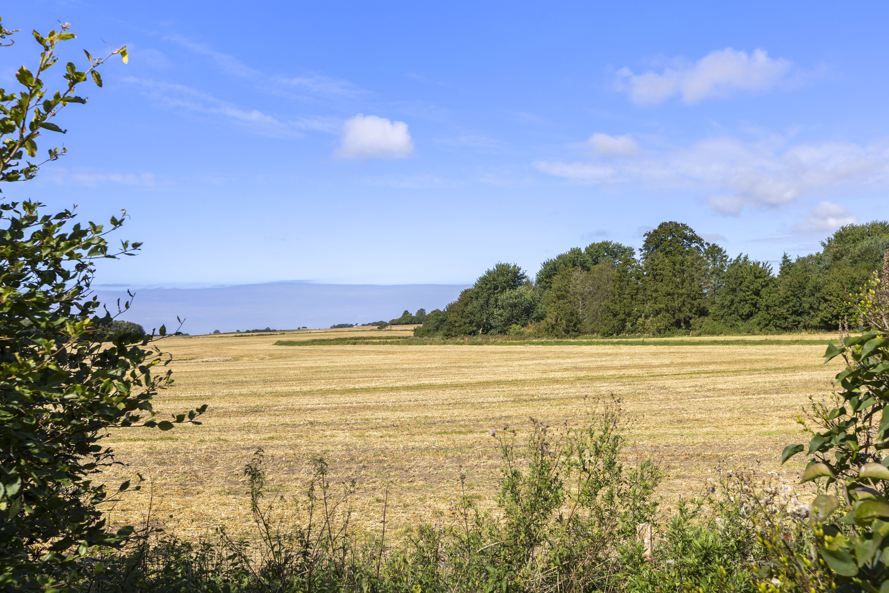 Miniaturebillede 1: udsigt. Billede af Kildegårdsvej 3, 4200 Slagelse