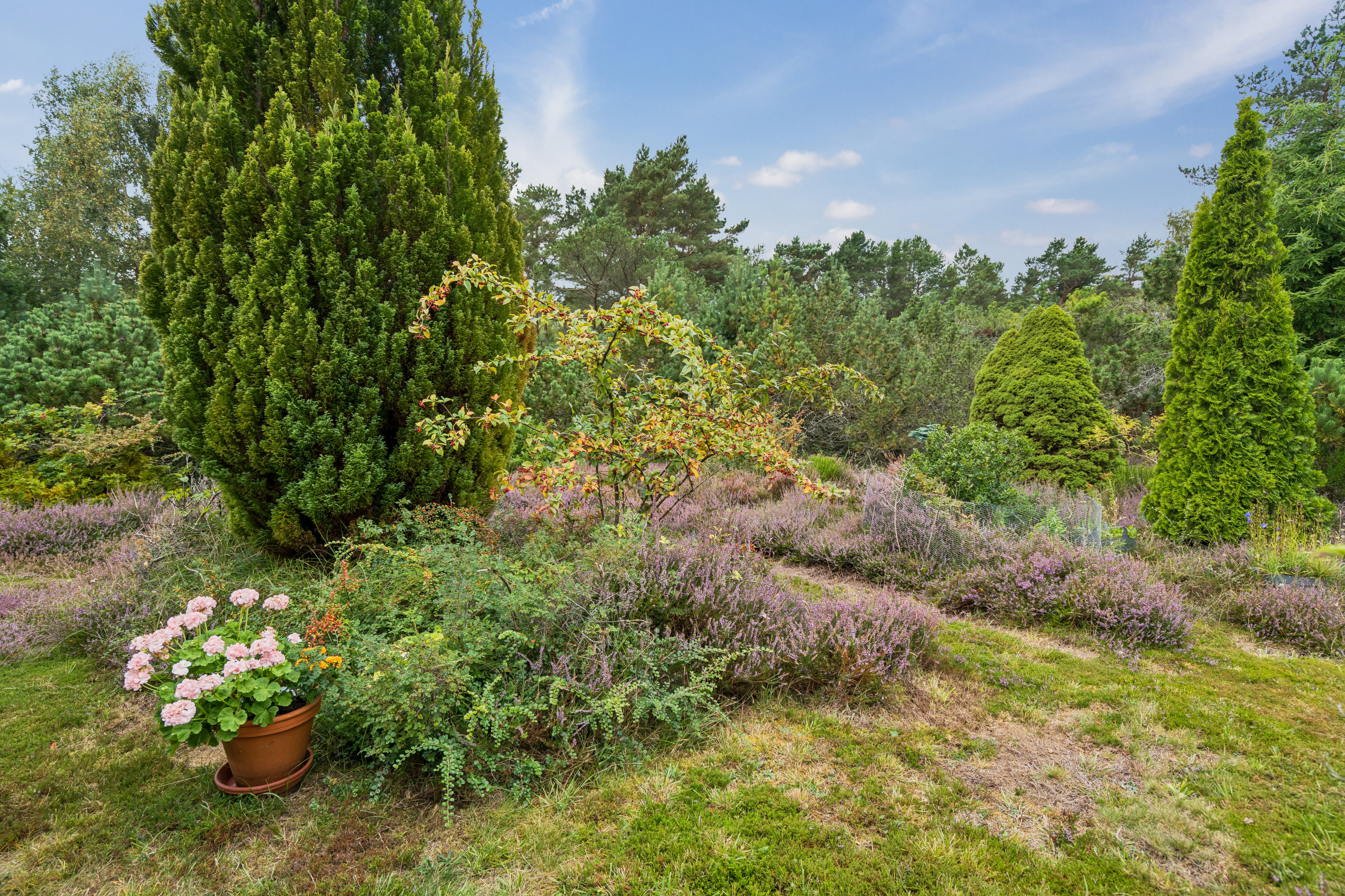 Fremhævet have billede i fuldskærmstilstand. Billede af Skovduevej 4, Østerby, 9940 Læsø