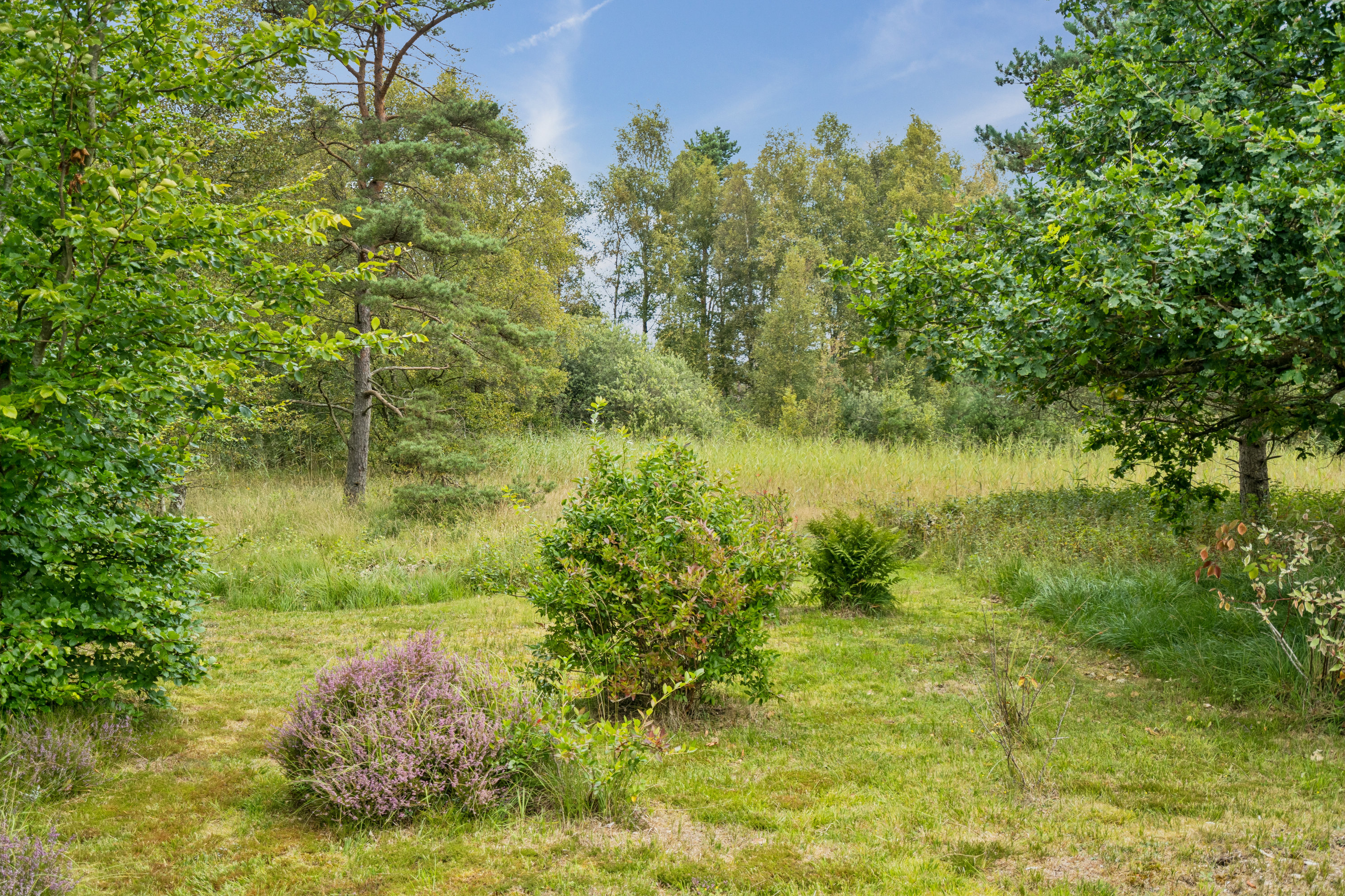 Fremhævet have billede i fuldskærmstilstand. Billede af Skovduevej 4, Østerby, 9940 Læsø