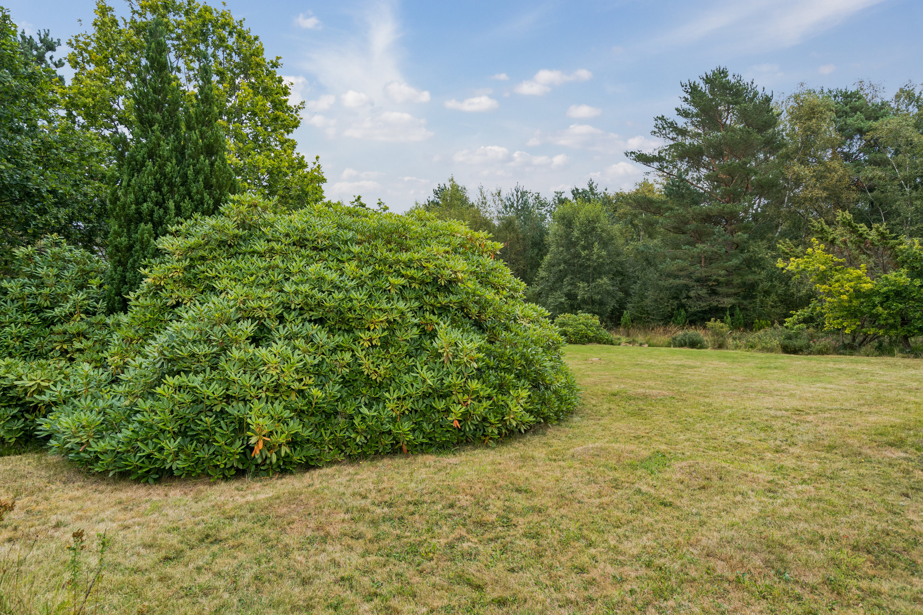 Fremhævet have billede i fuldskærmstilstand. Billede af Skovduevej 4, Østerby, 9940 Læsø
