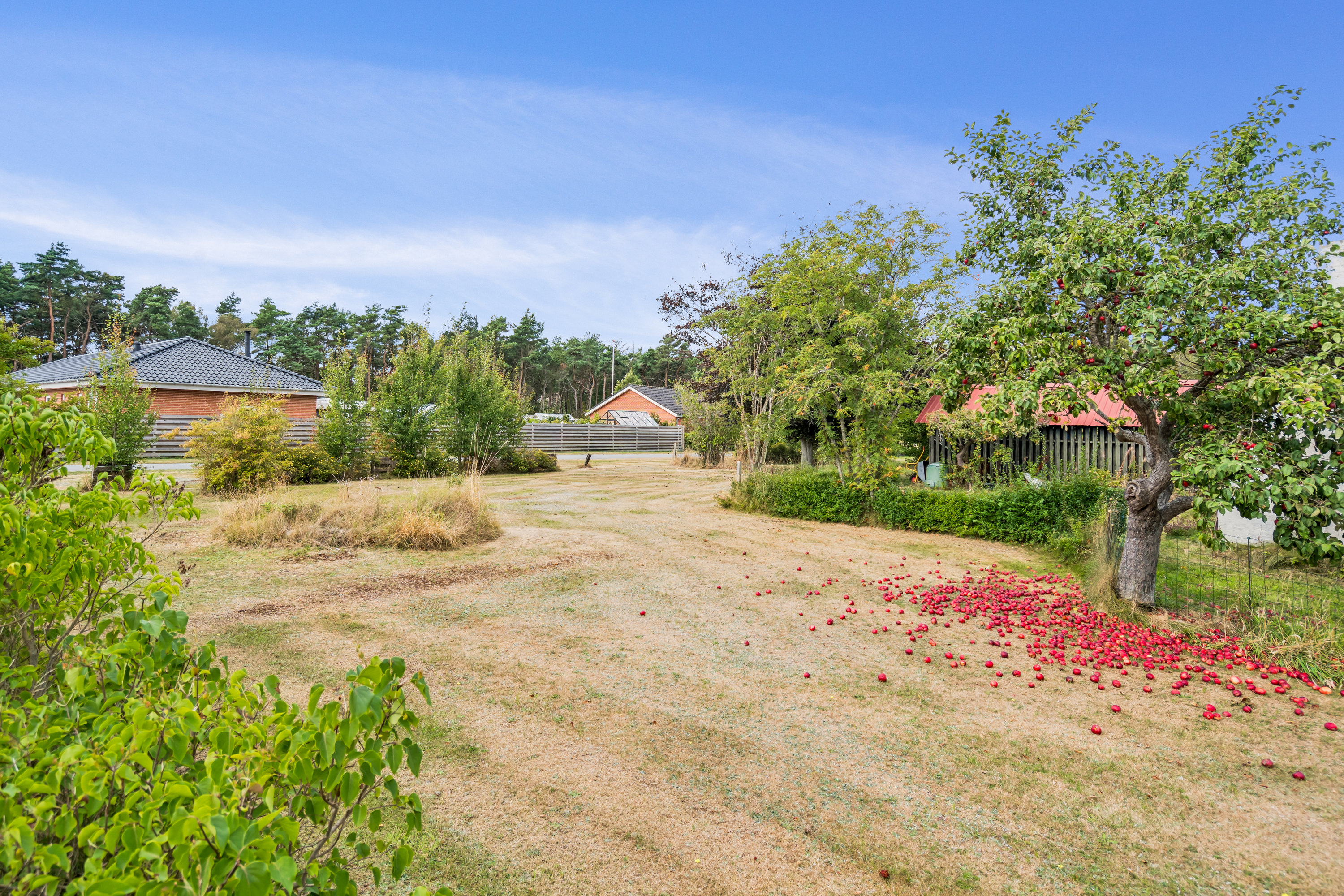 Fremhævet have billede i fuldskærmstilstand. Billede af Vesterø Havnegade 80, Vesterø Havn, 9940 Læsø
