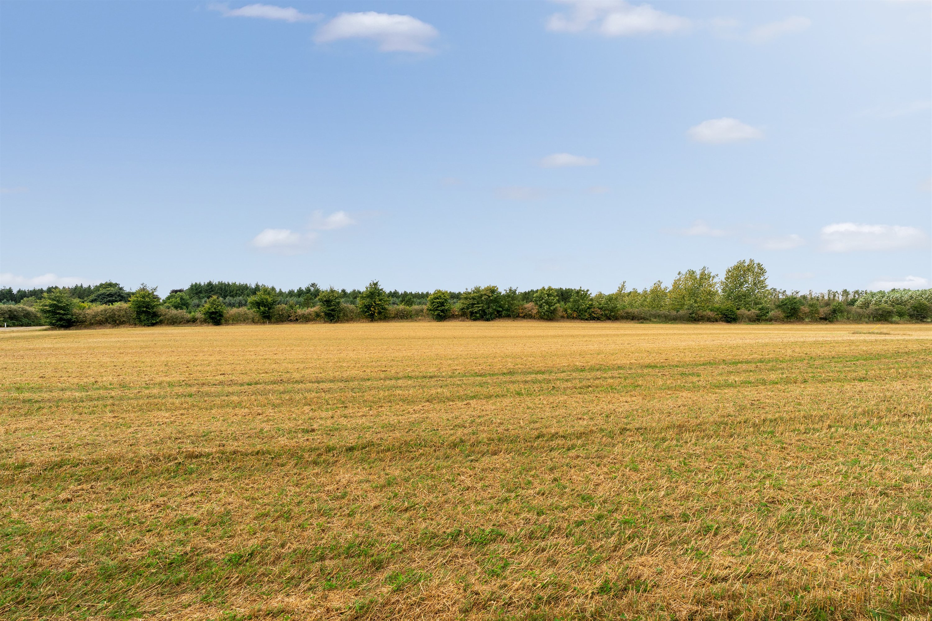 Fremhævet ejendommen billede i fuldskærmstilstand. Billede af Almstokvej 20, 6623 Vorbasse